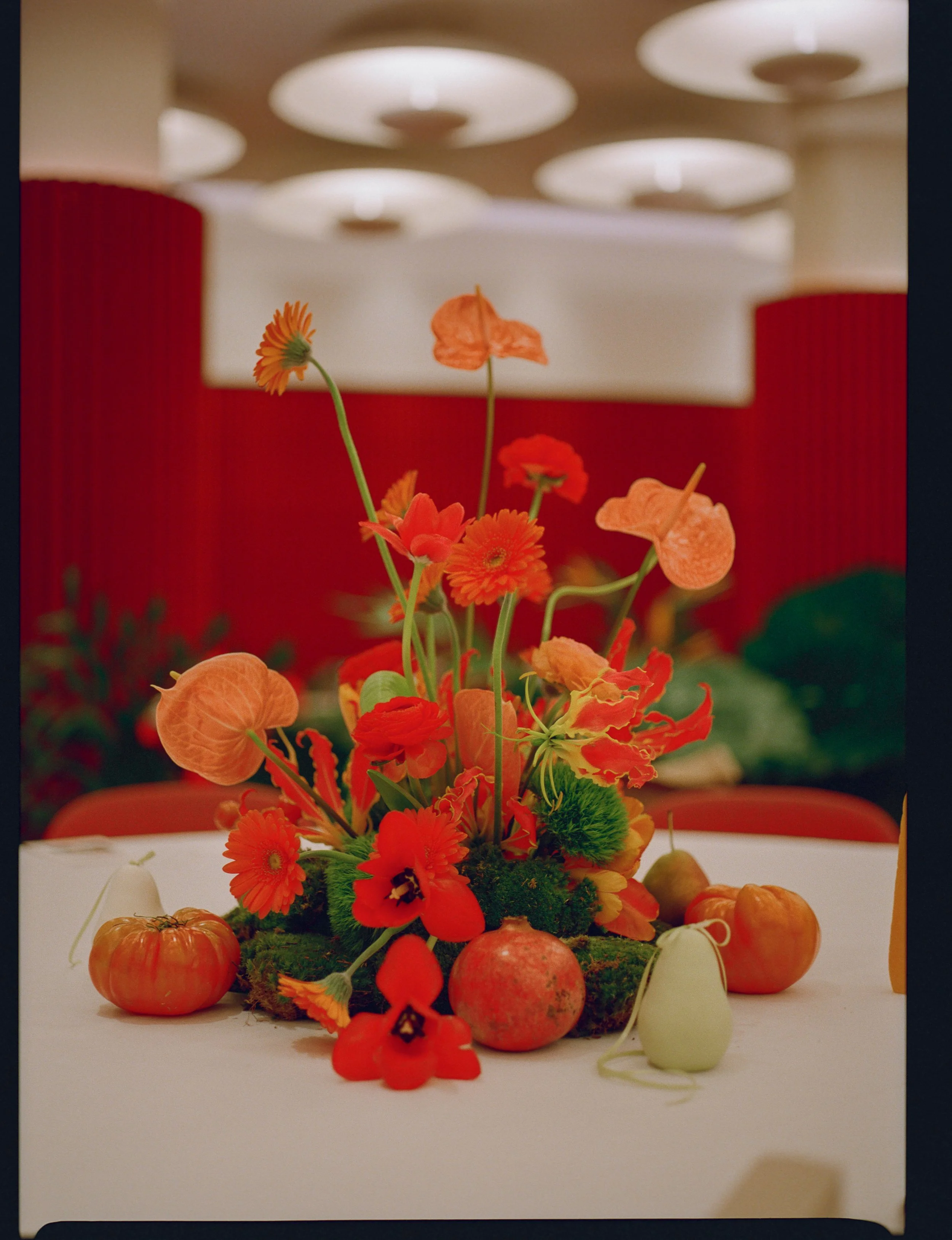  image by  Parker’s Pictures   