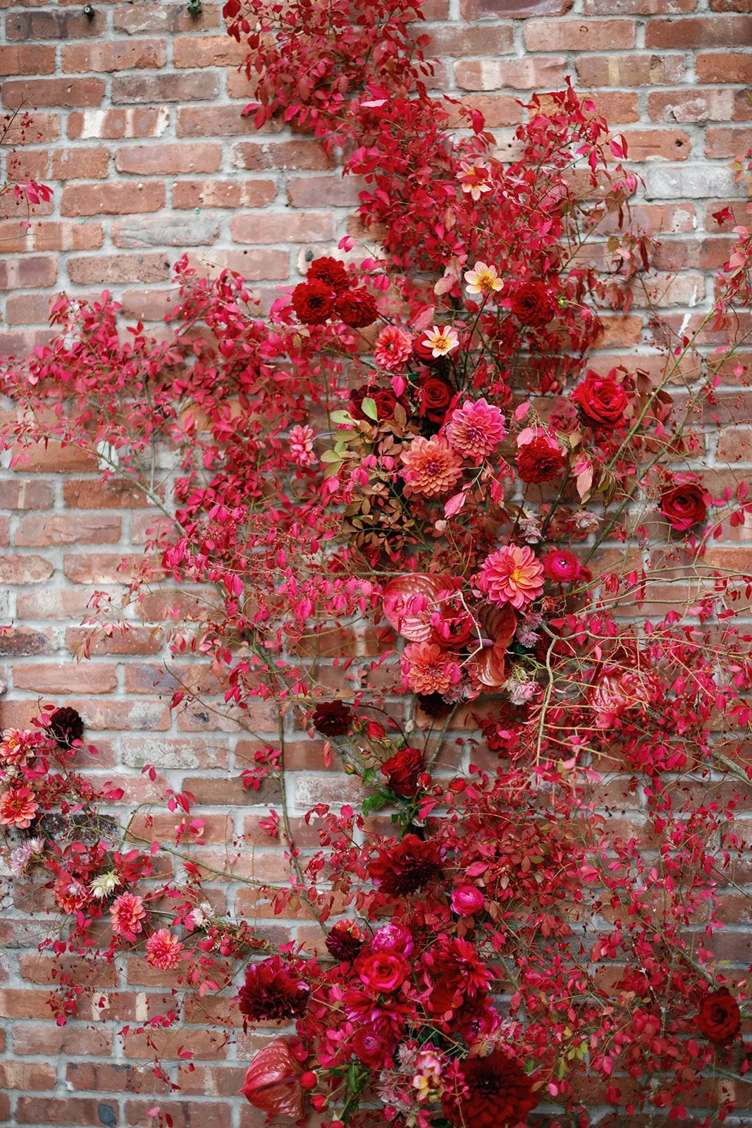  image by  Hope Allison Photography   