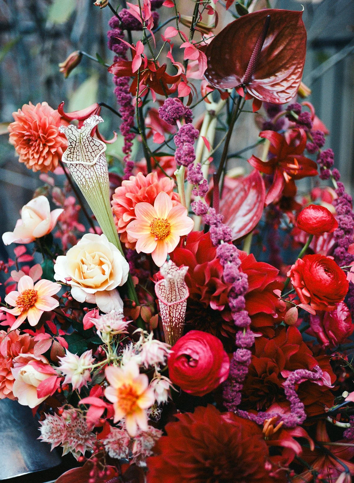  image by  Hope Allison Photography   