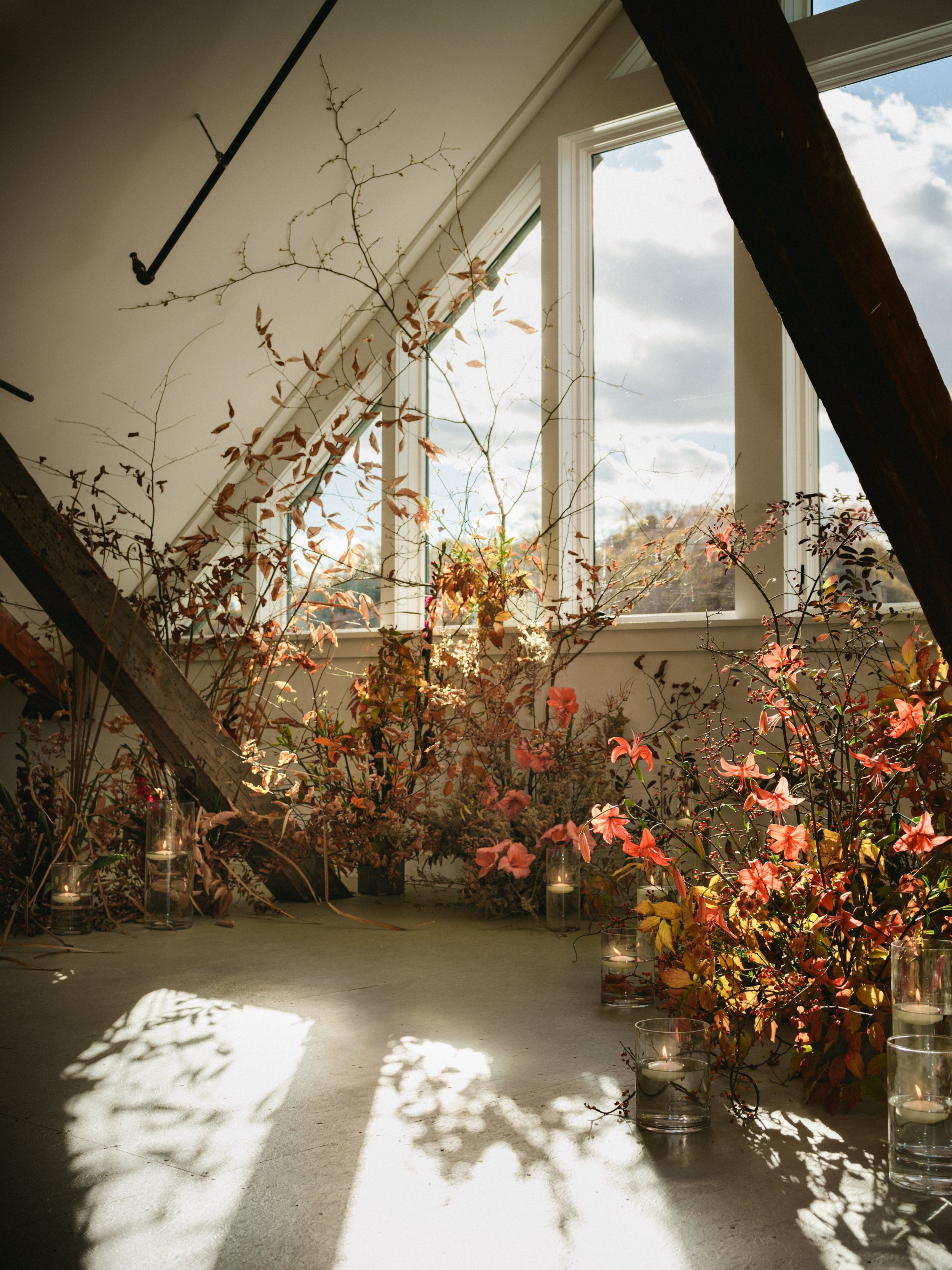 image by Suzuka Sampson