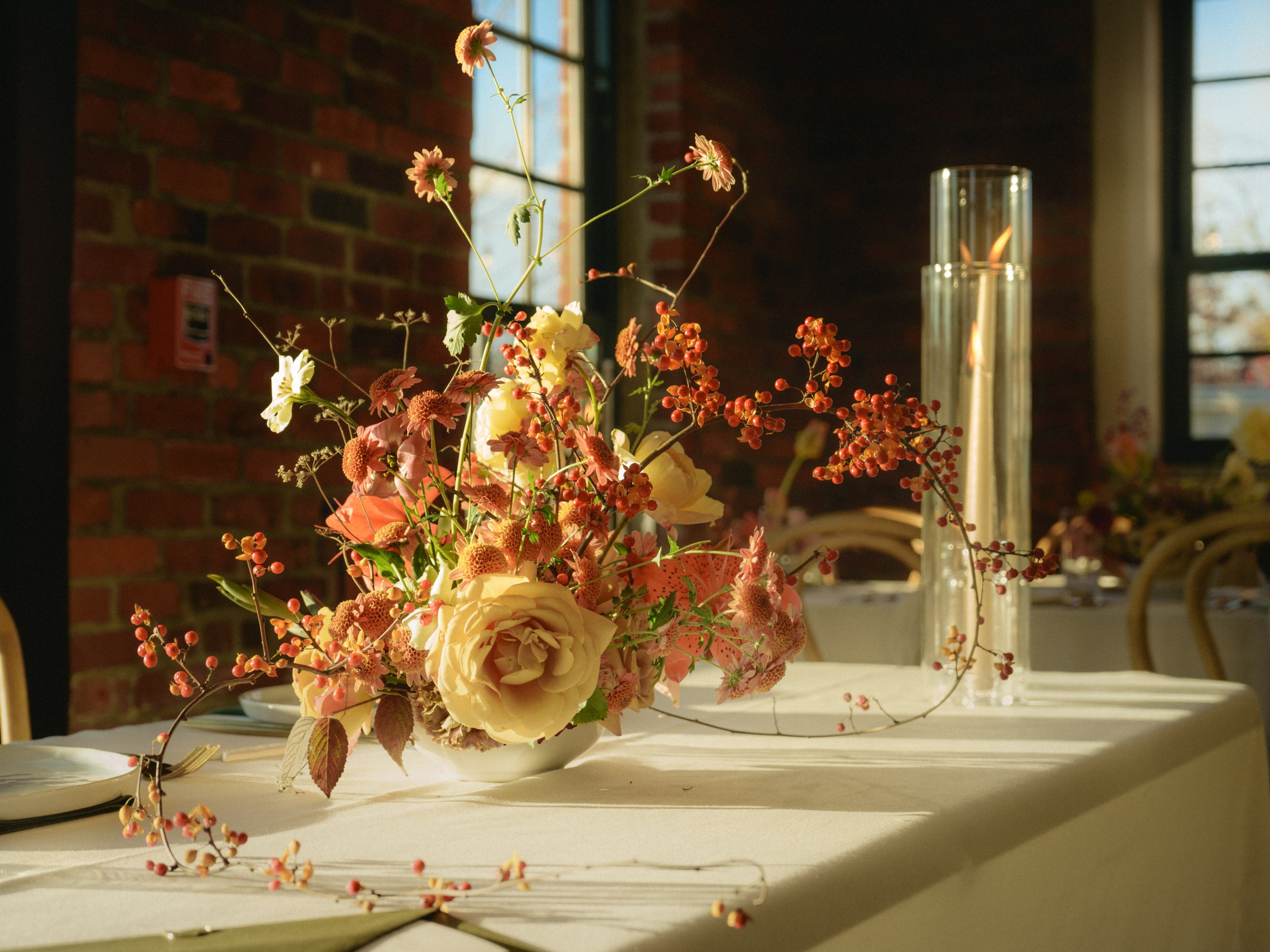 image by Suzuka Sampson