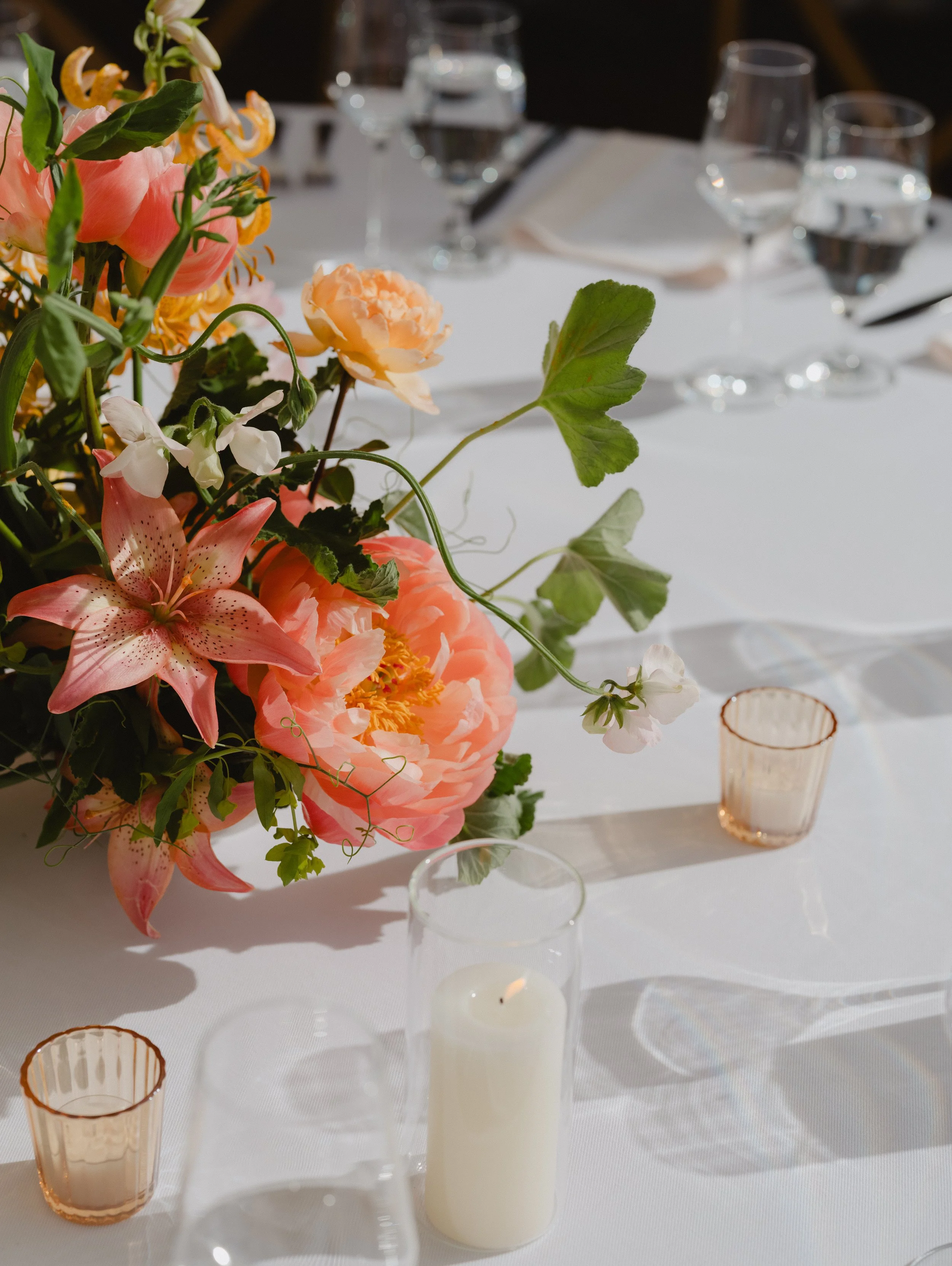  image by  Katie Osgood  