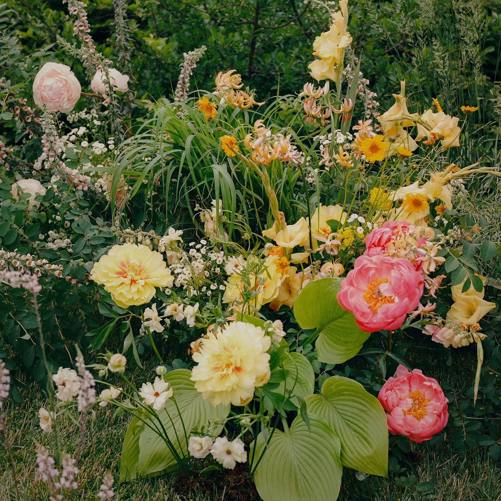  image by  With Love From Katelyn Rose  