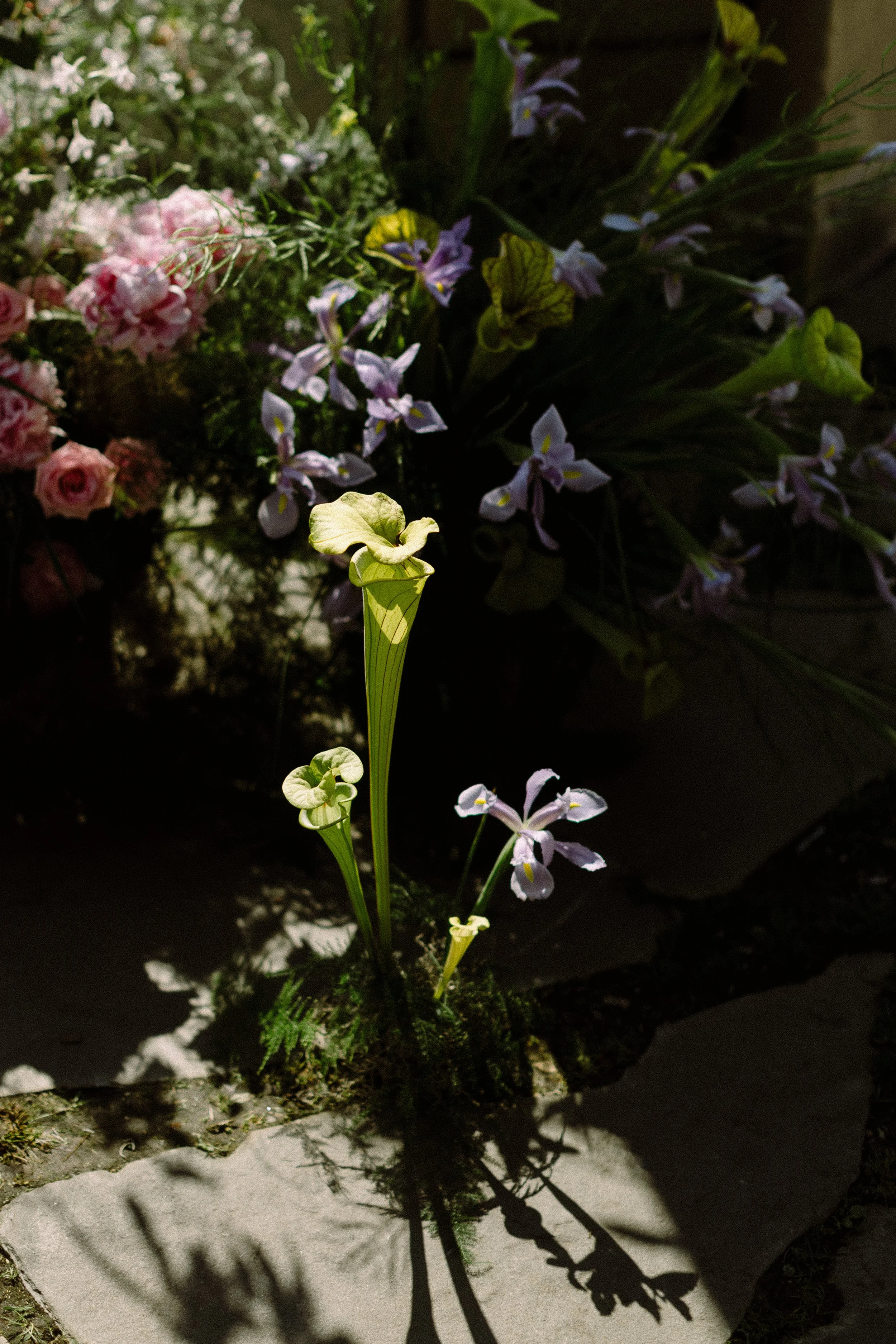  image by  Chaz Cruz Photography  