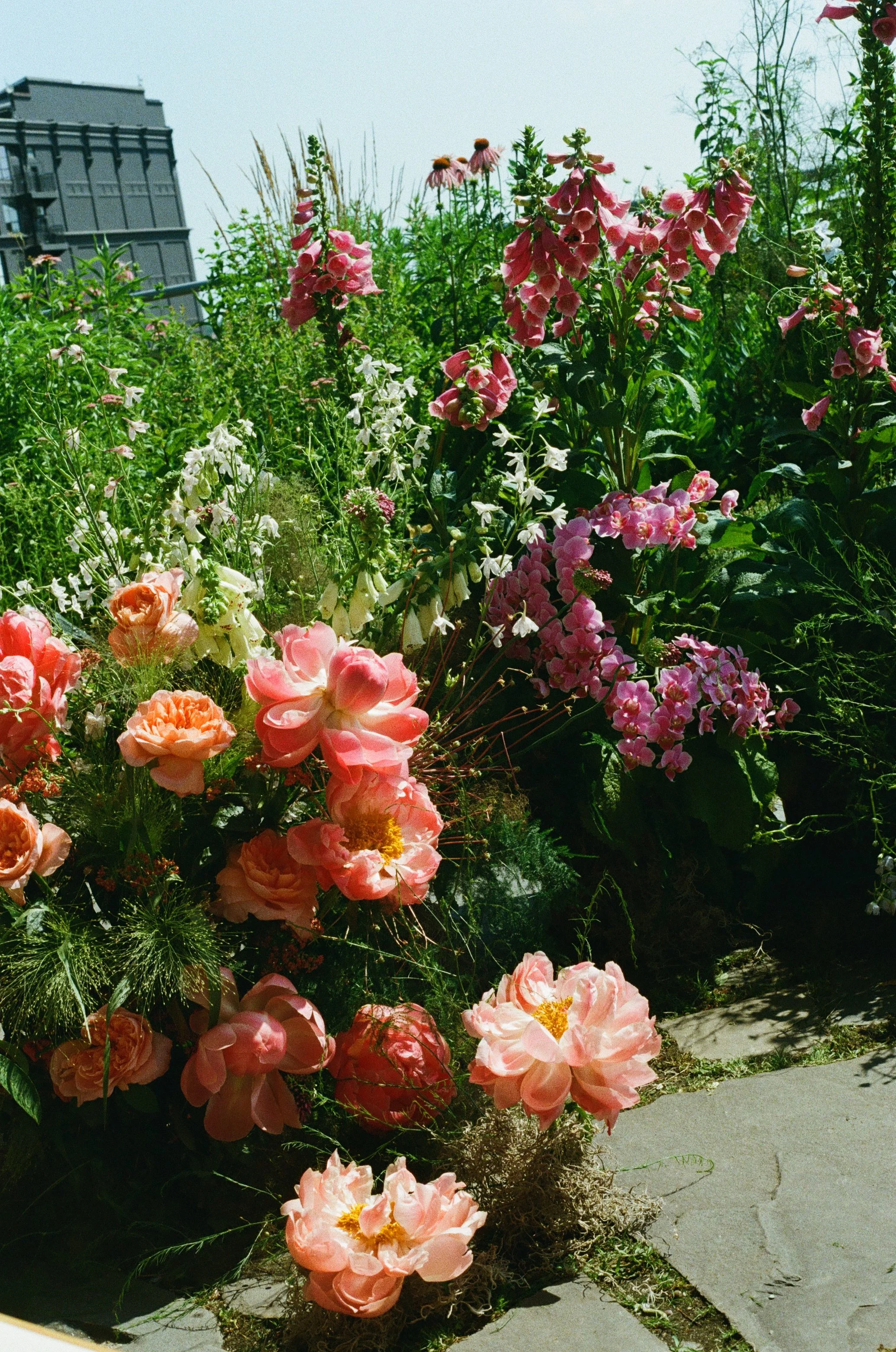  image by  Chaz Cruz Photography  