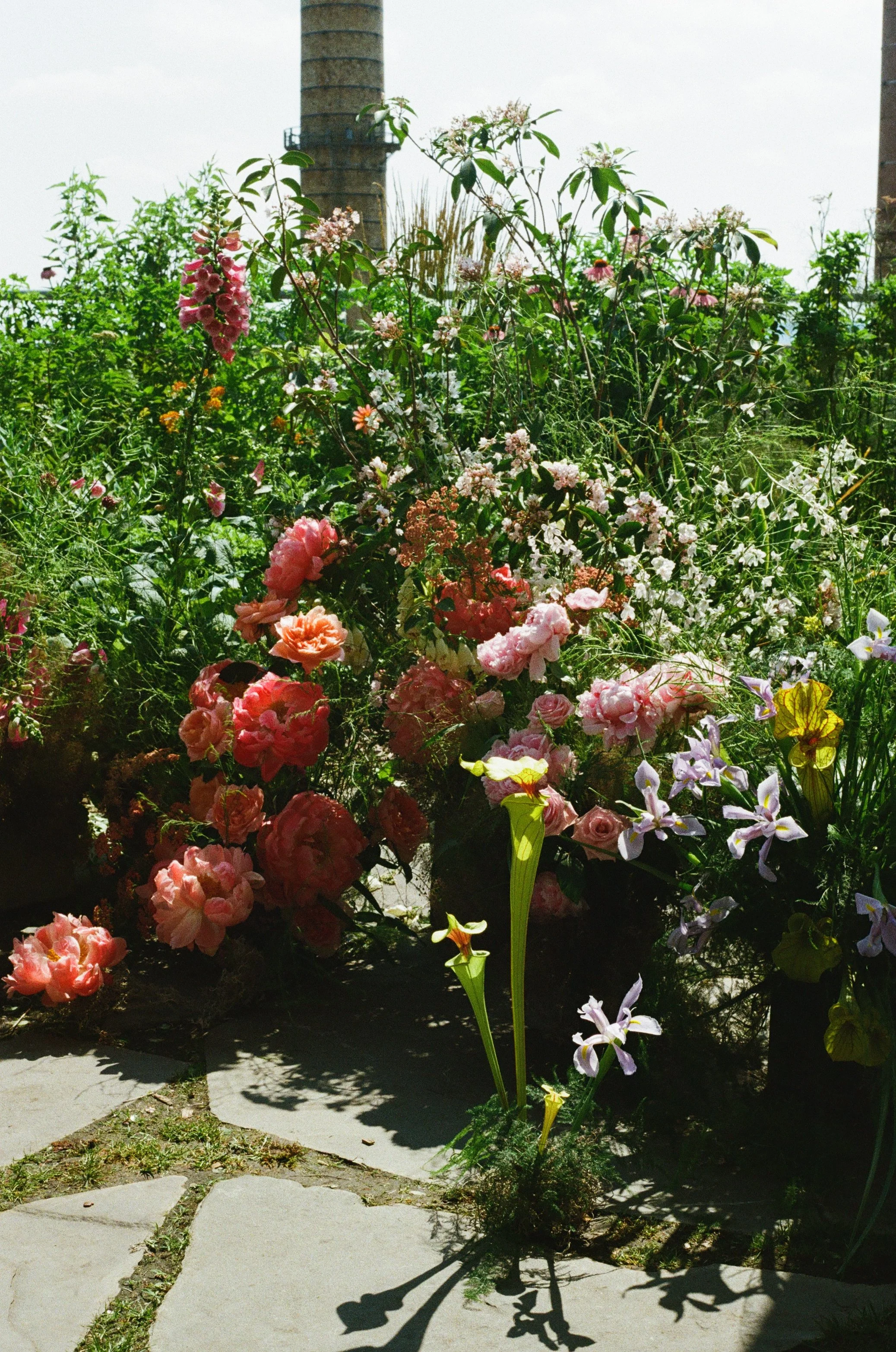  image by  Chaz Cruz Photography  