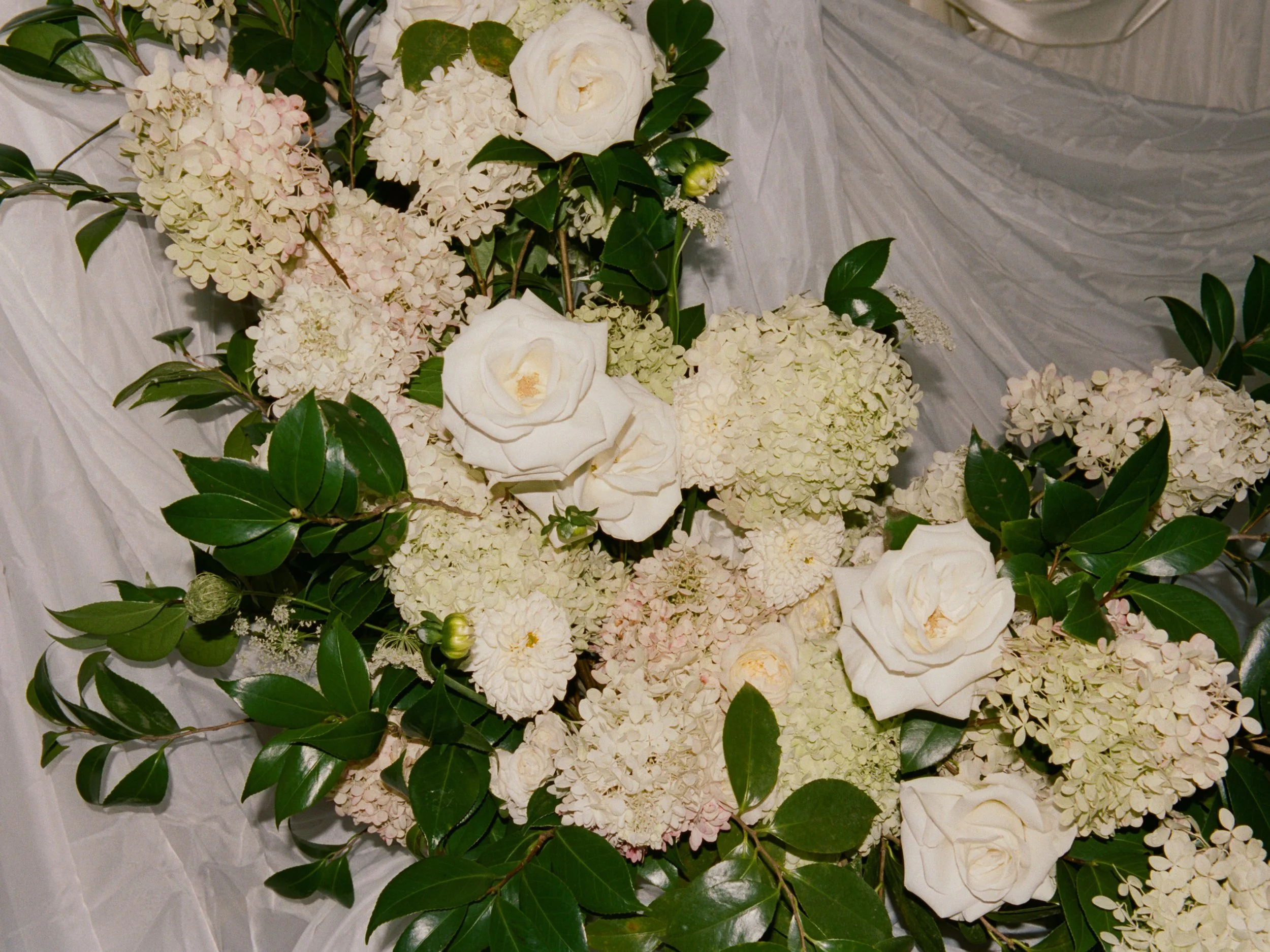  image by  Ally Rabon Photo  