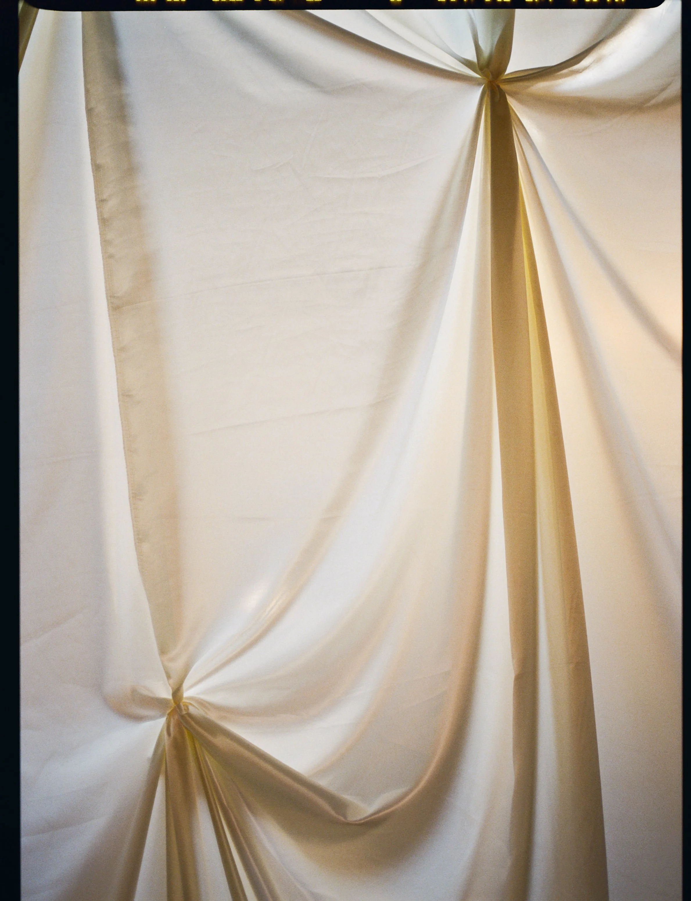  image by  Ally Rabon Photo  