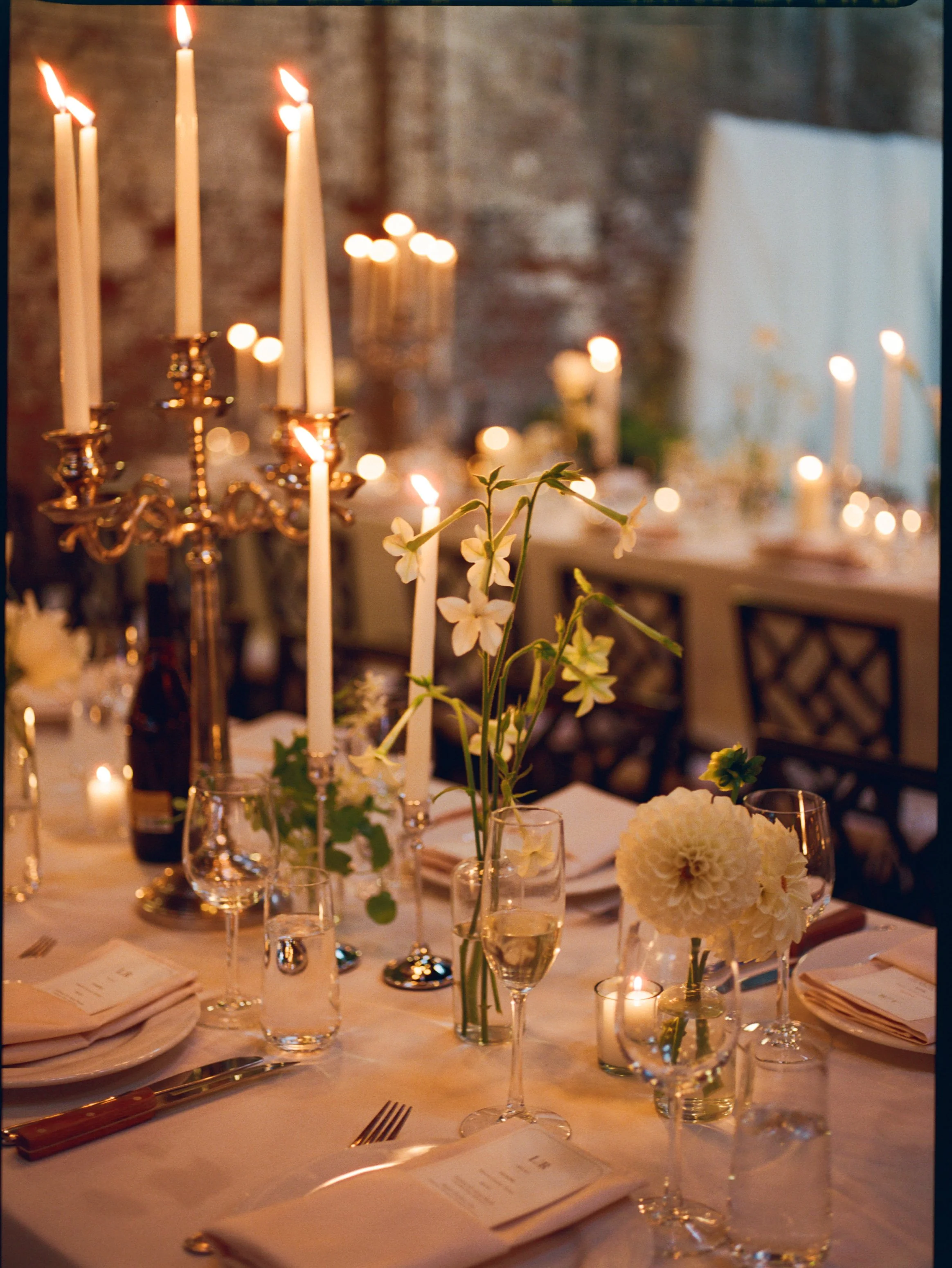  image by  Ally Rabon Photo  