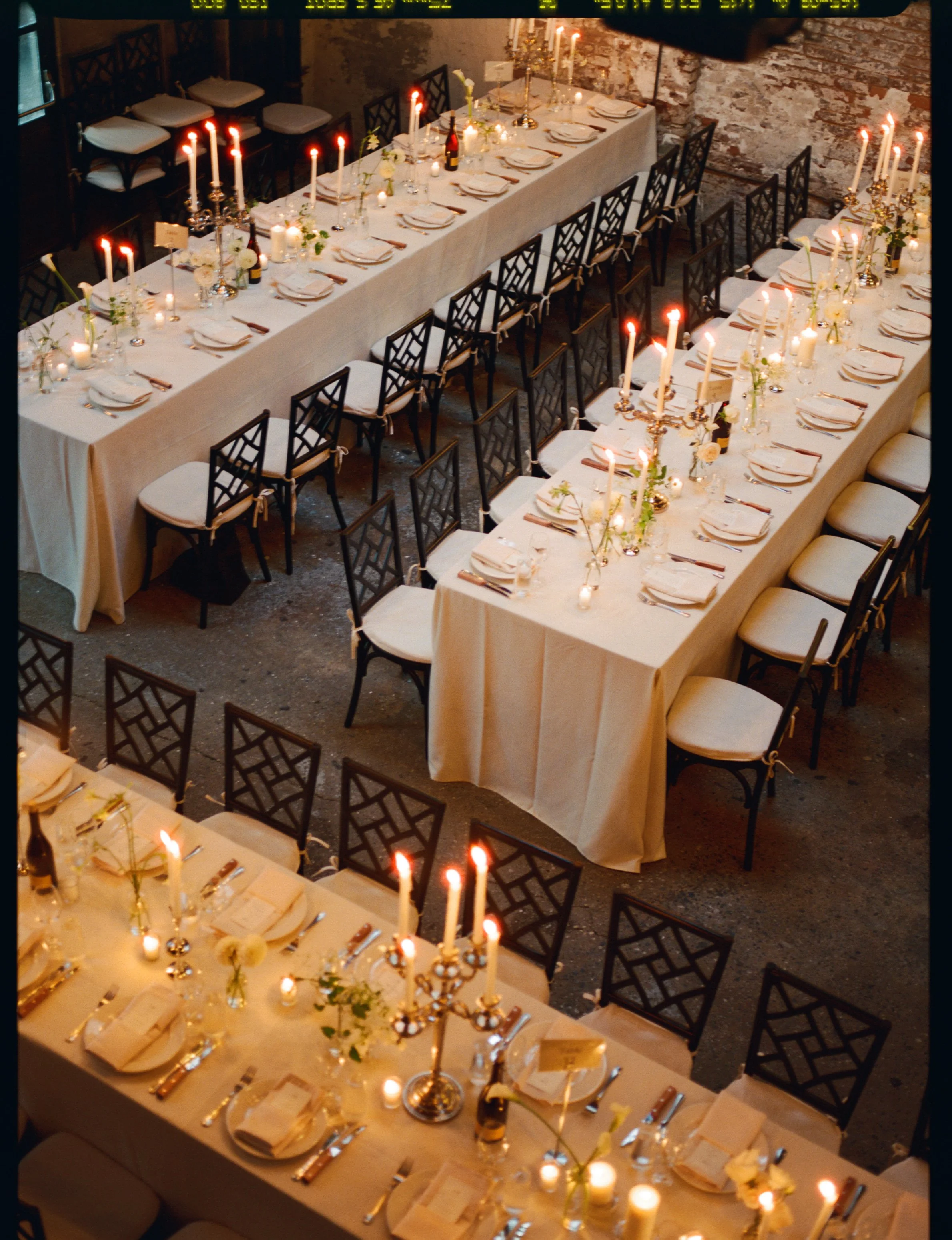  image by  Ally Rabon Photo  