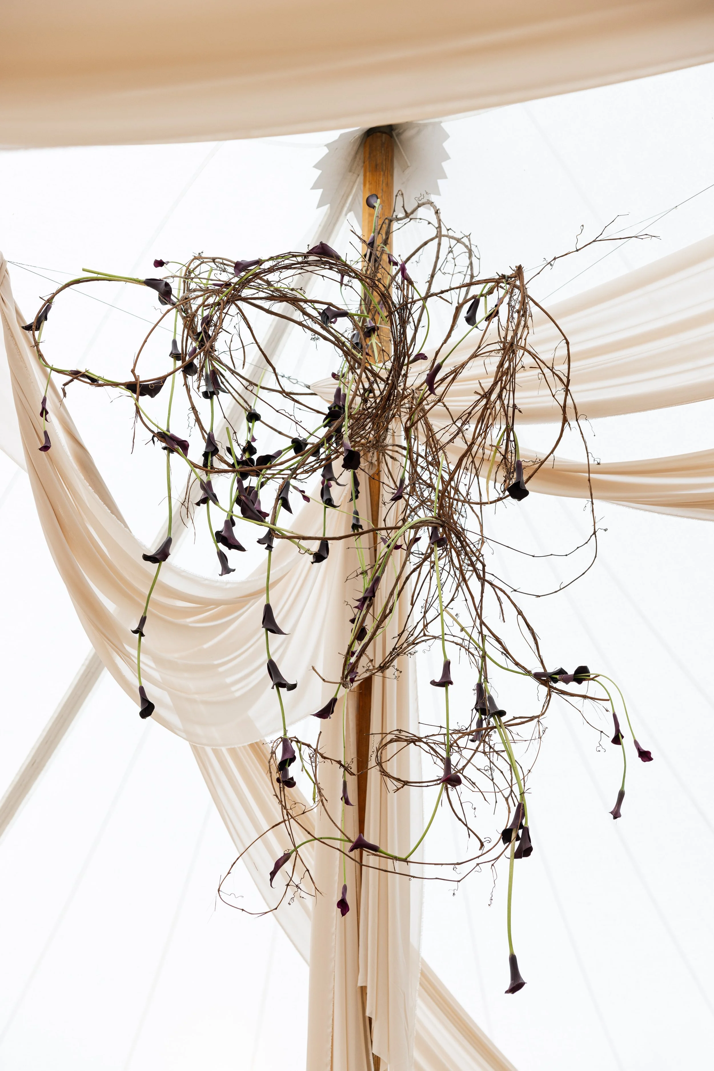  image by  Lety Altam Photography   