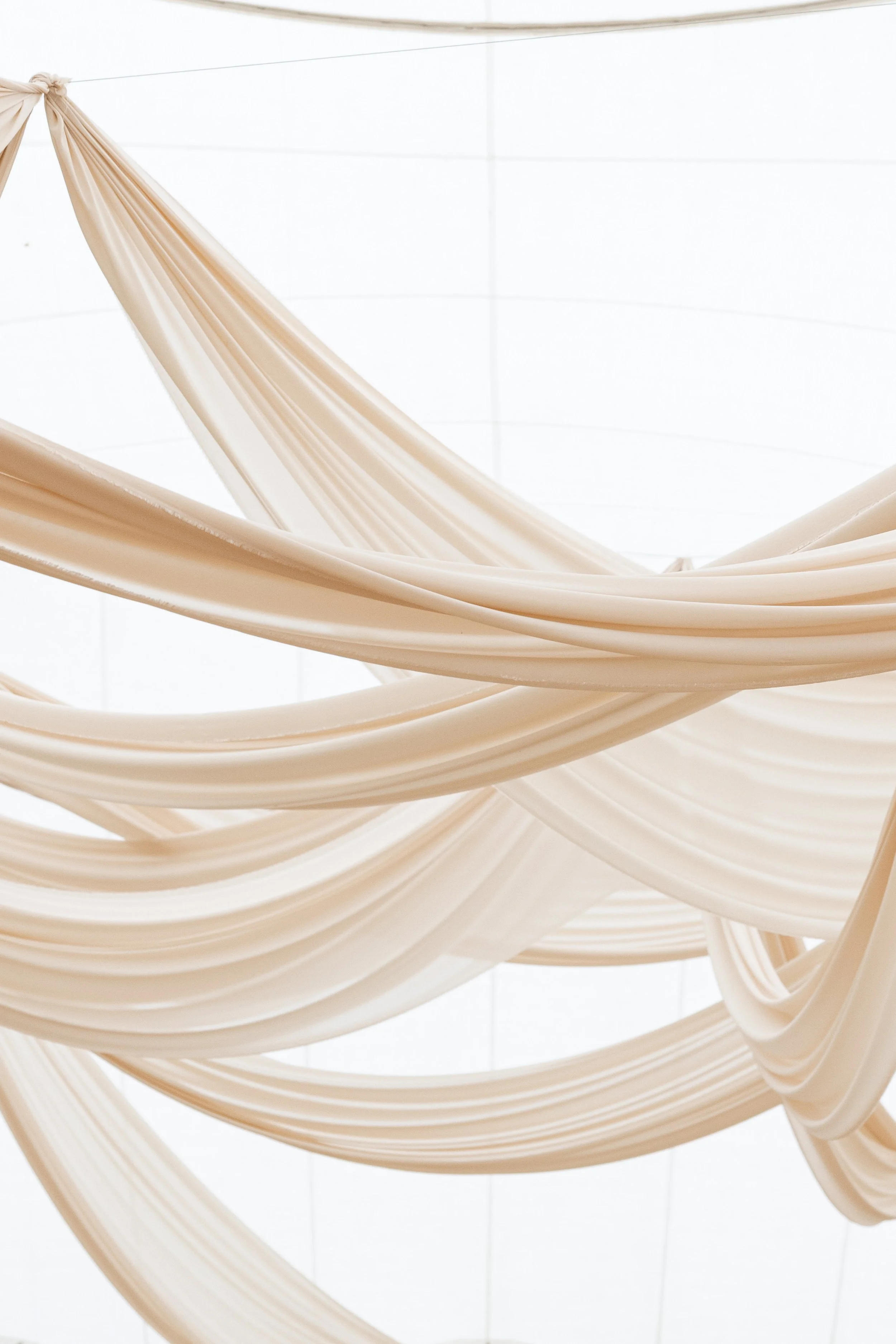  image by  Lety Altam Photography   