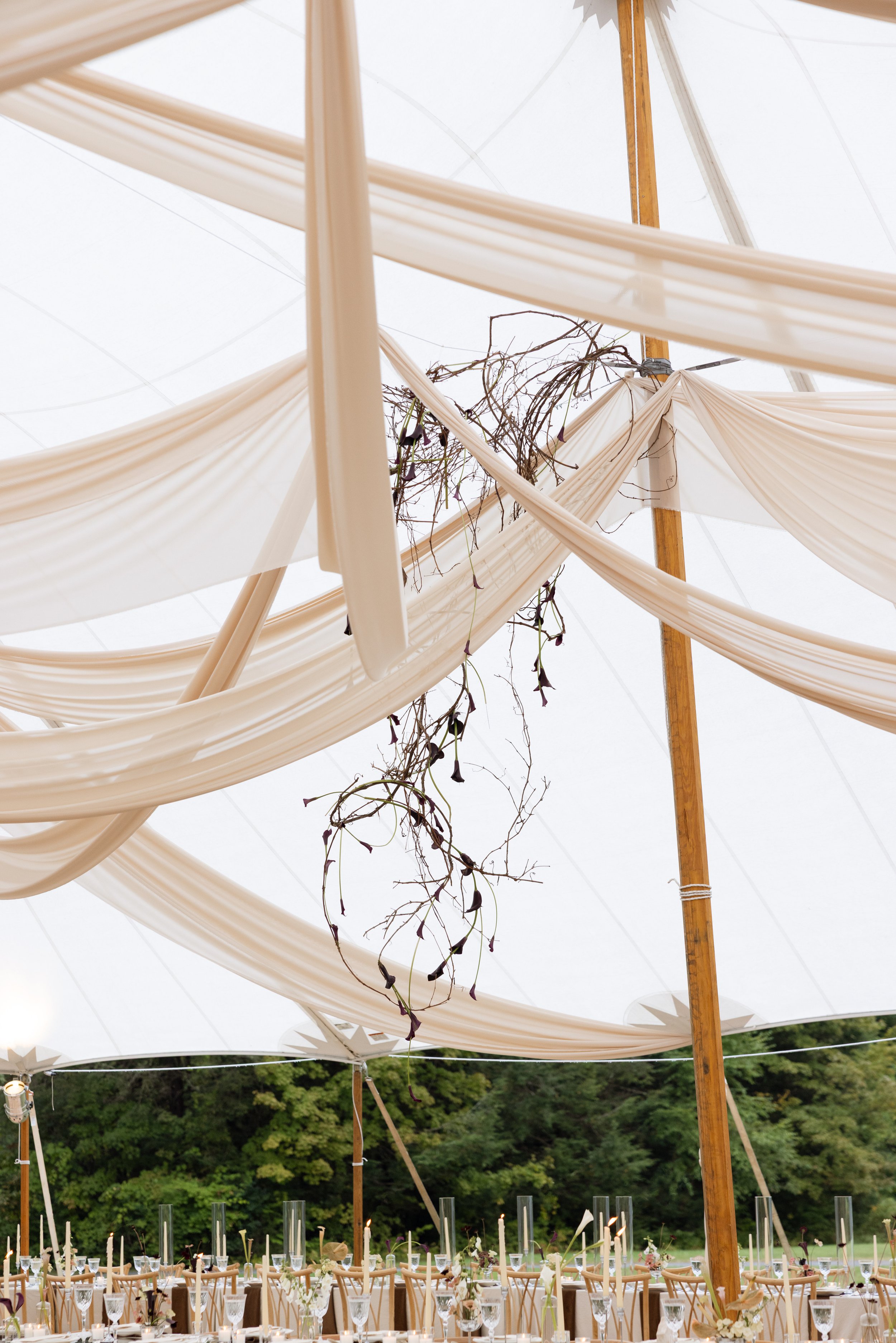  image by  Lety Altam Photography   