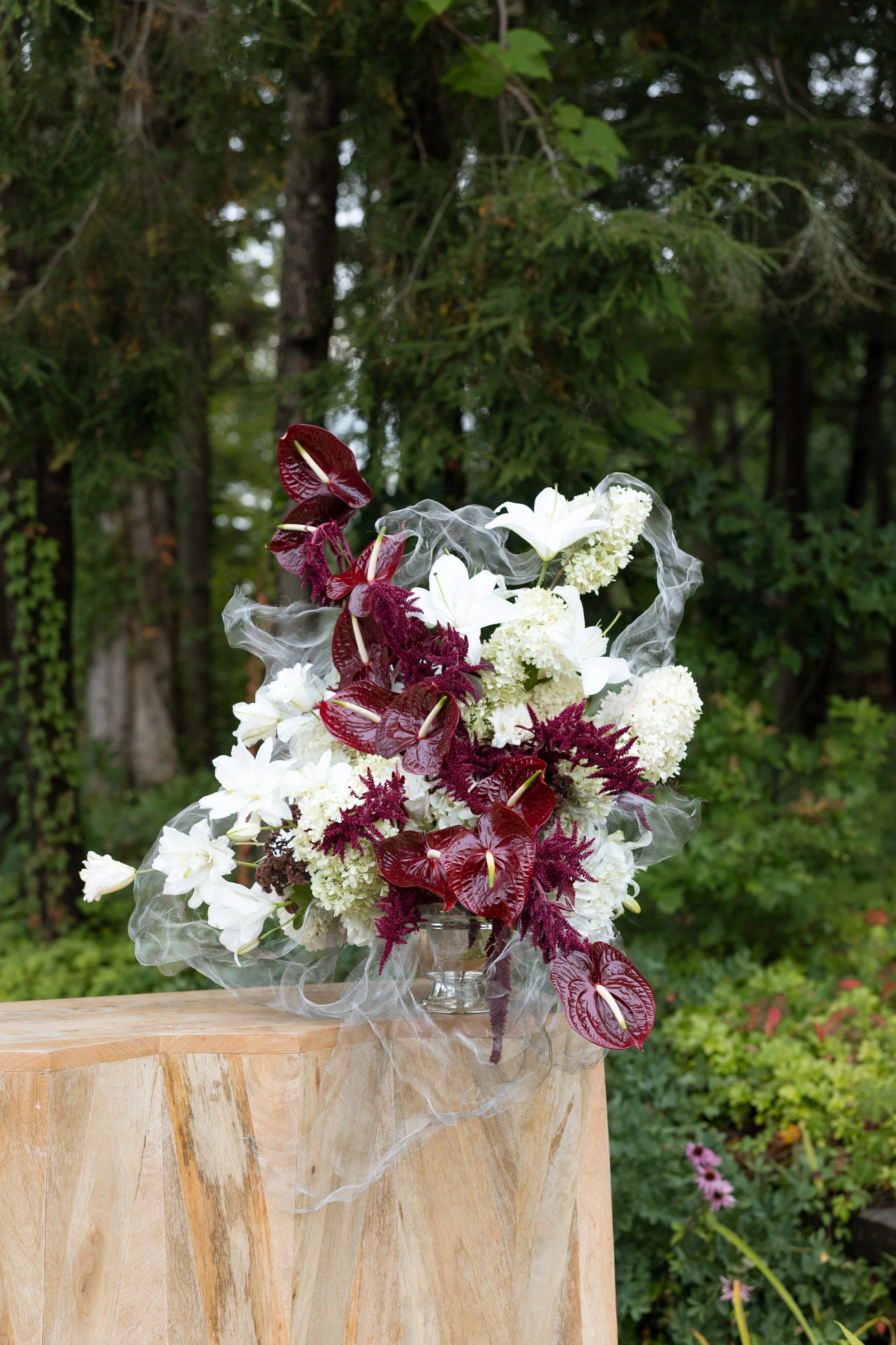  image by  Lety Altam Photography   