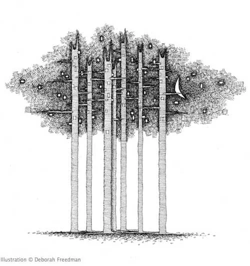 forest