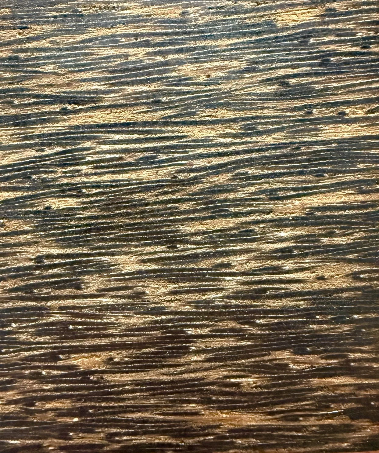 palm.jpeg