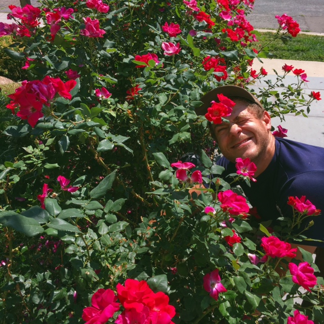 The roses are beautiful, but a gardener has to be willing to struggle through a little discomfort in order to keep them that way.