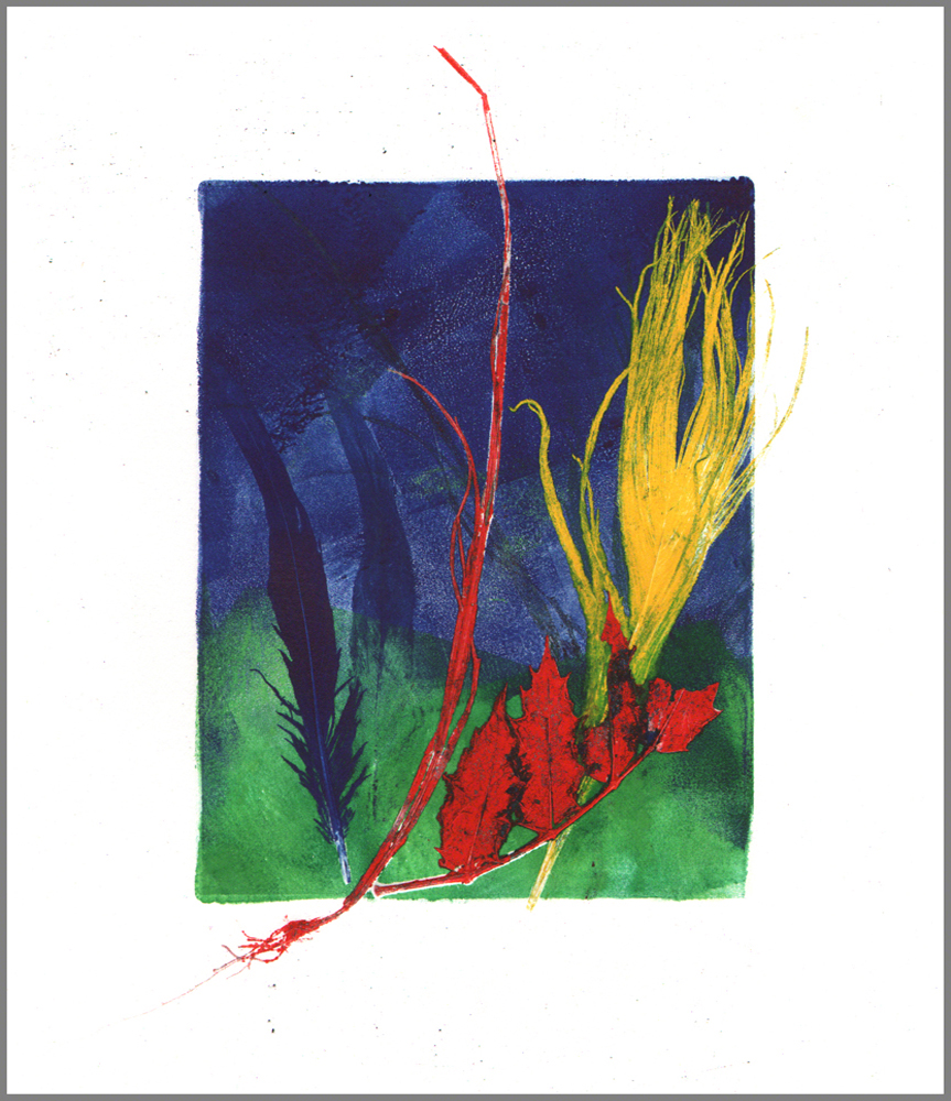 Feathers 4