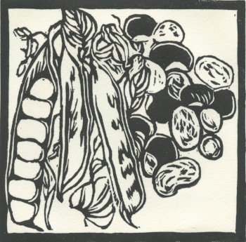 Beans