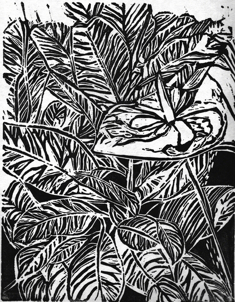 Anthurium-Lino-Digi-web.jpg