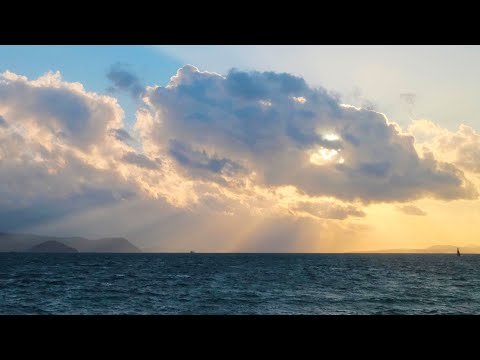 2025 - Year in Search