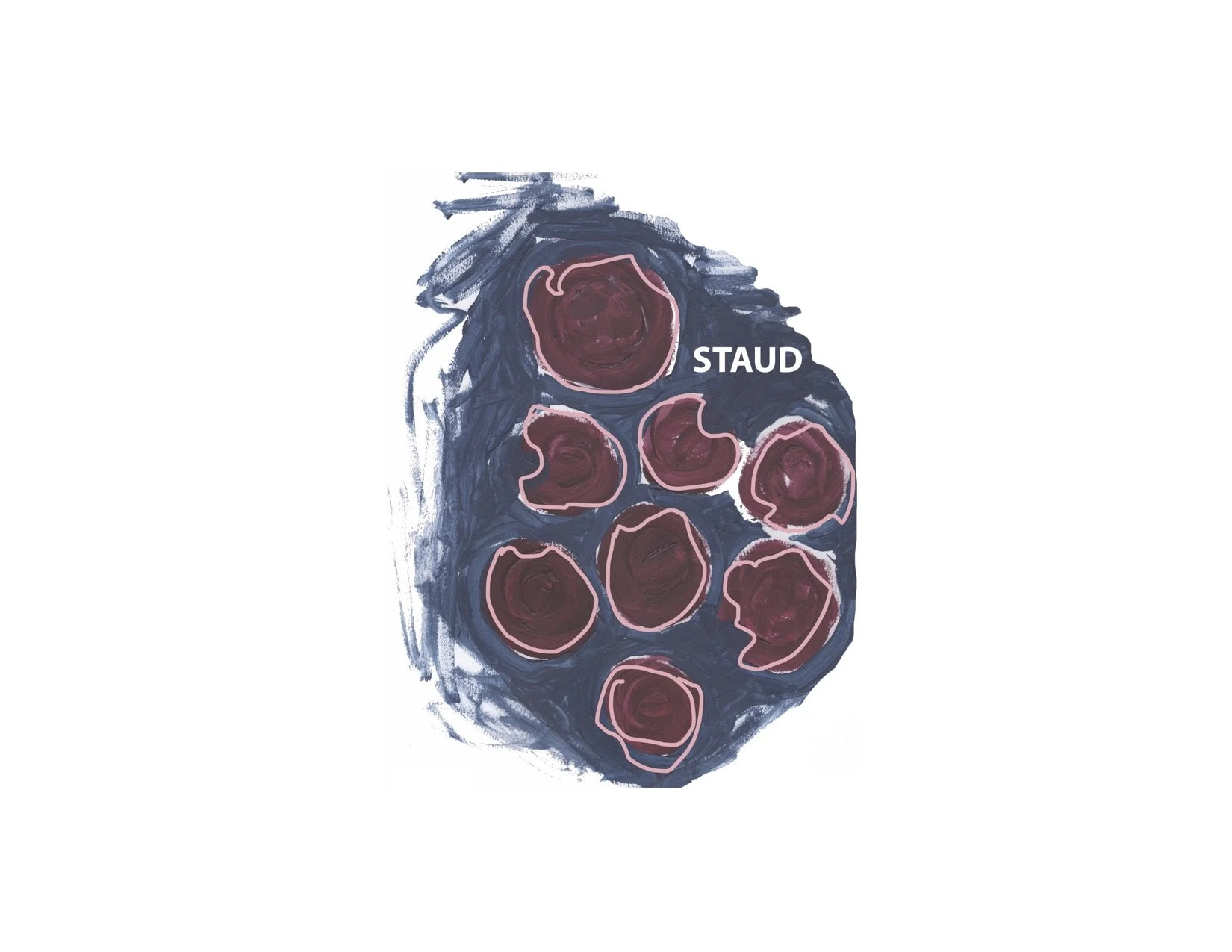 staud cover.jpg