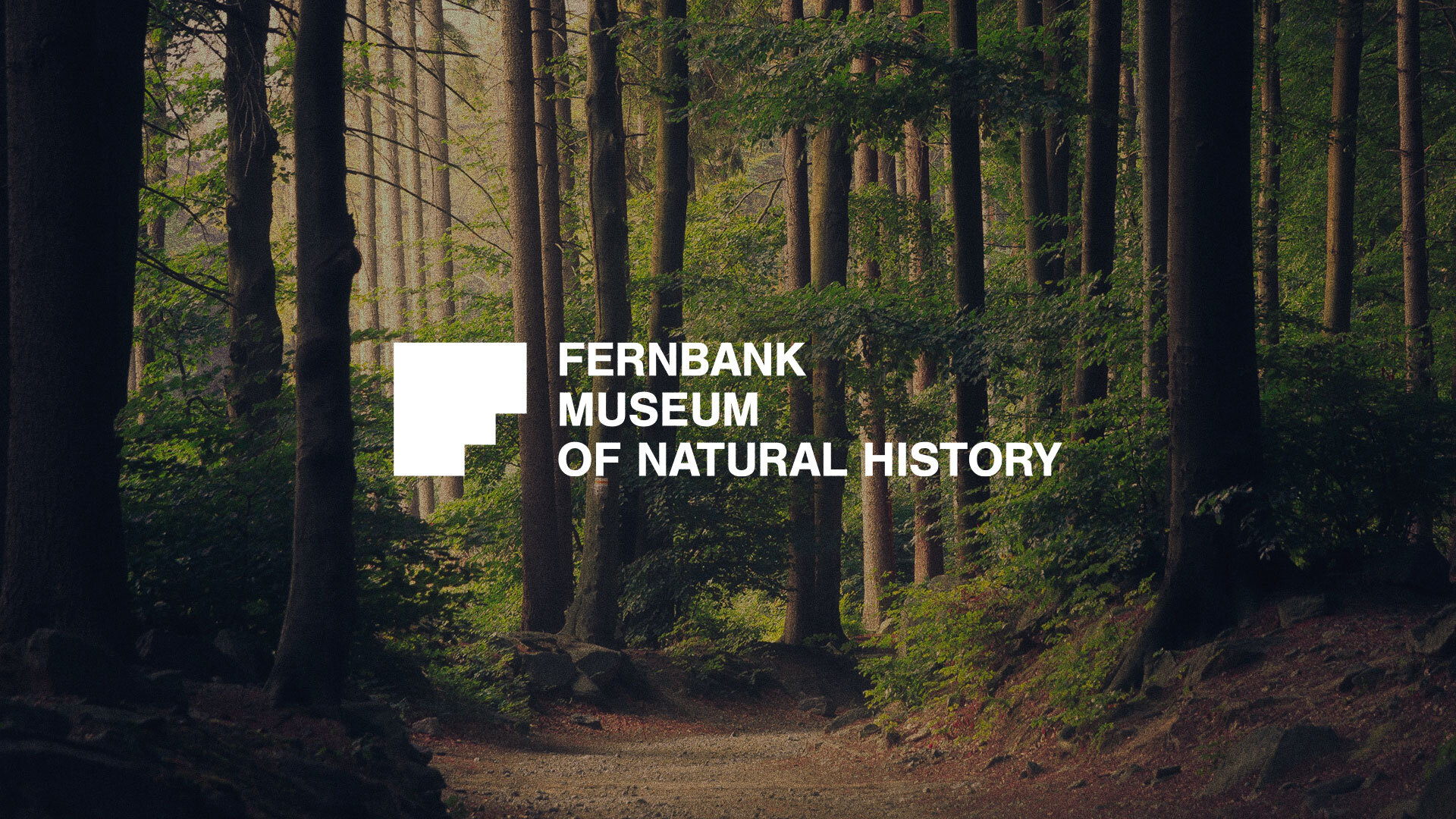 Fernbank-Portfolio-Cover.jpg