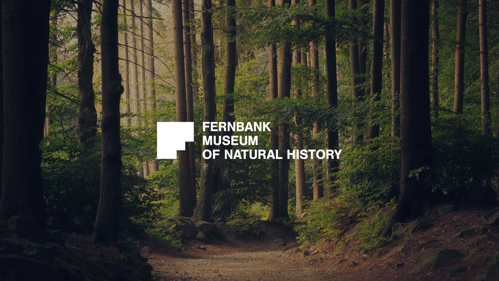 Fernbank-Portfolio-Thumbnail.jpg