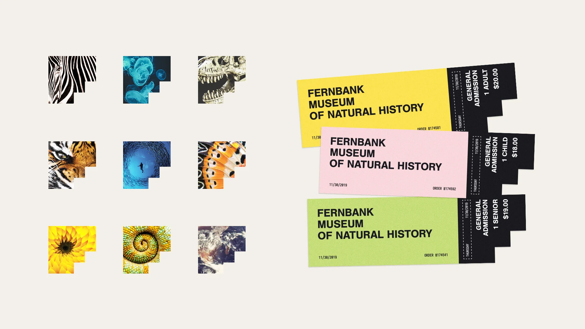 Fernbank-Portfolio-2.jpg