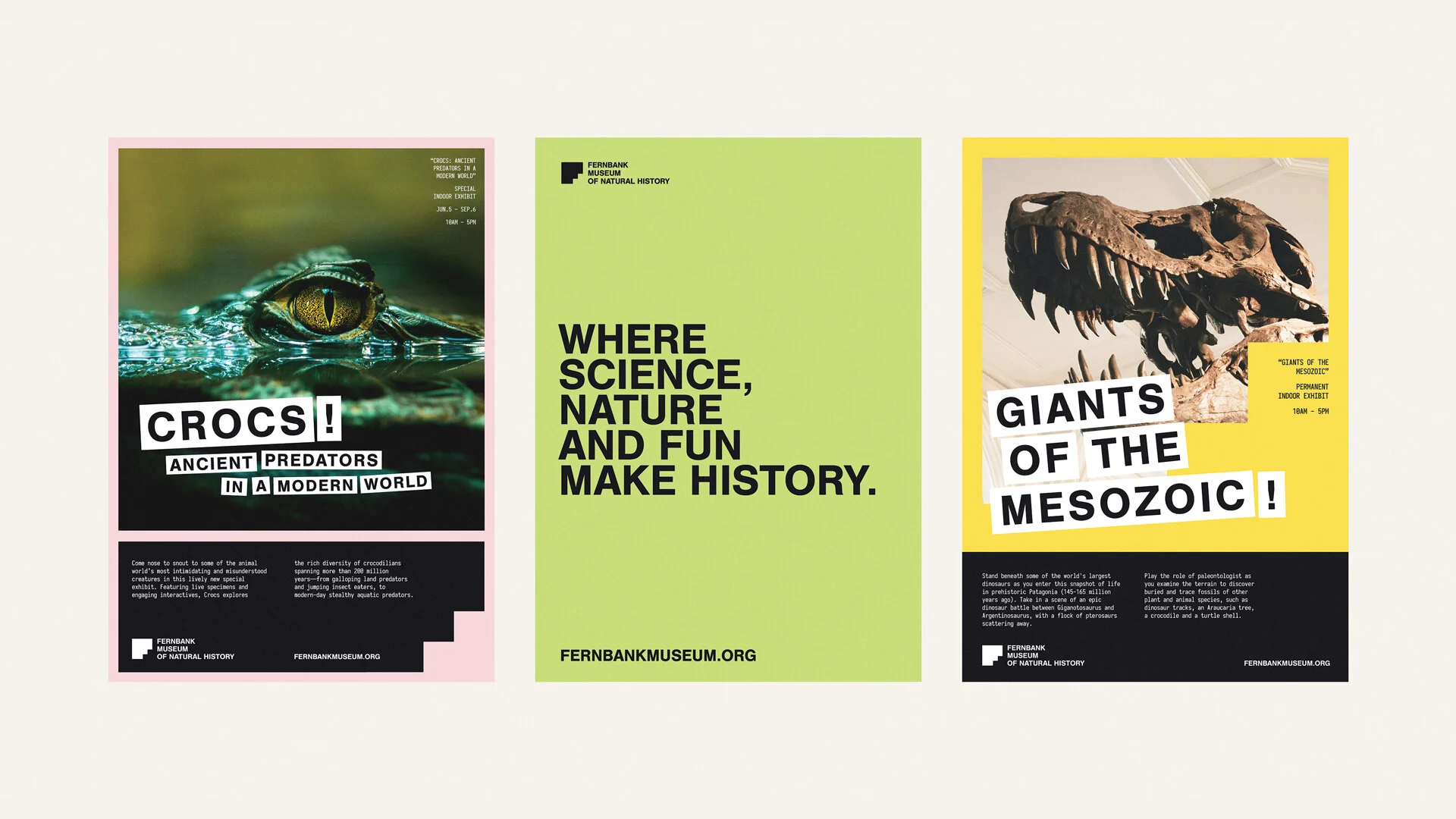 Fernbank-Portfolio-3.jpg