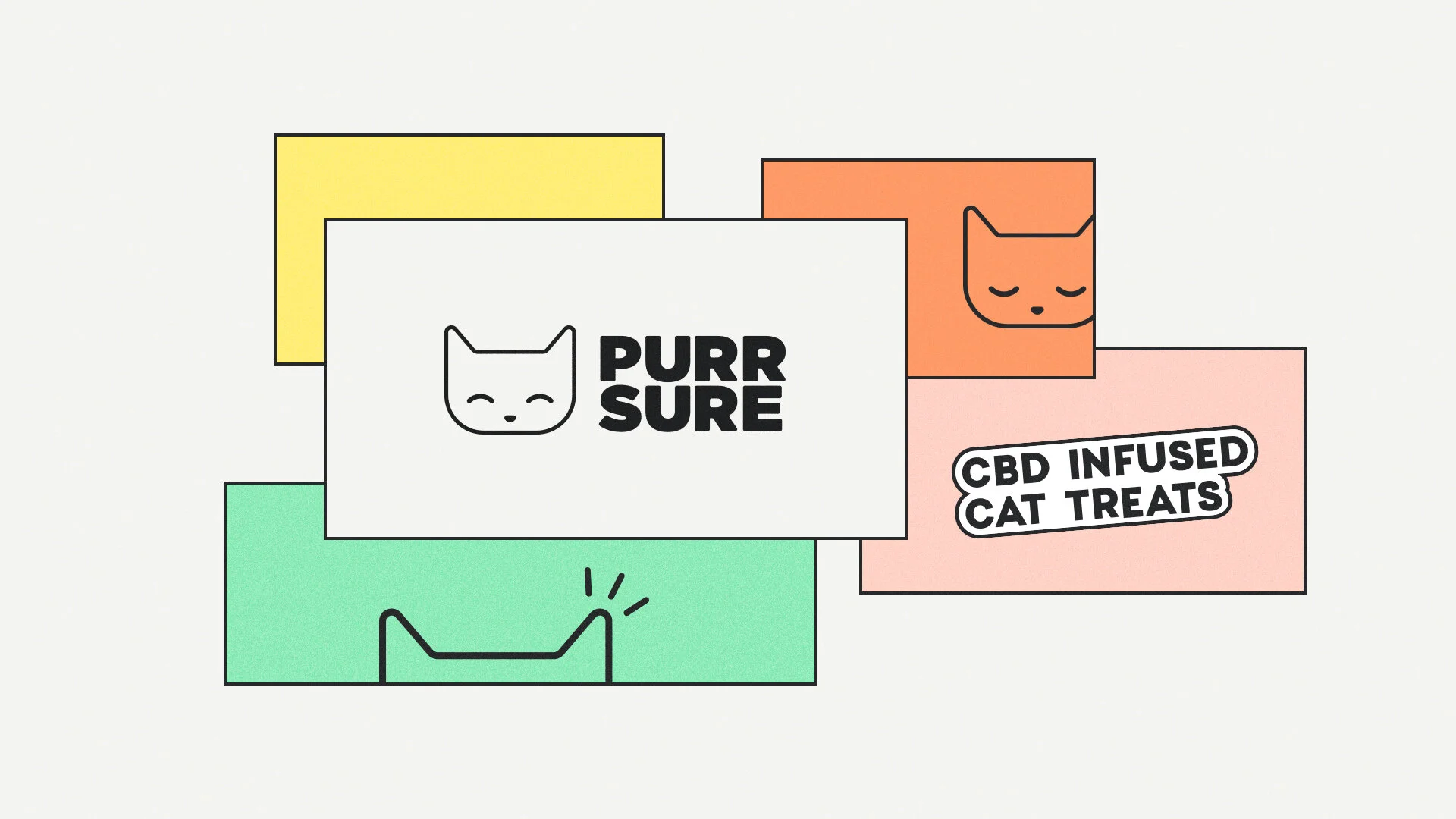 PurrSure-Squarespace-1.jpg