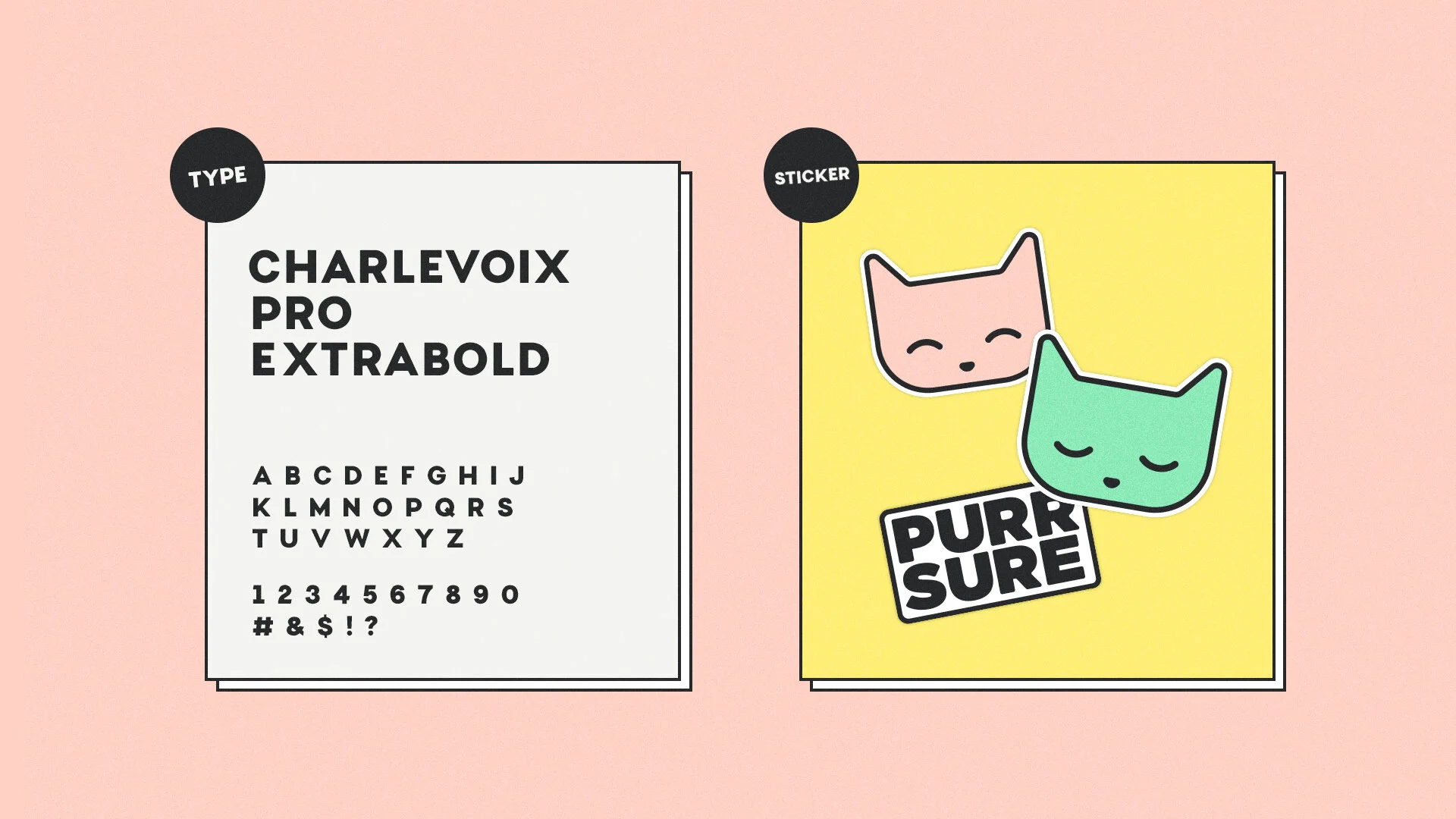 PurrSure-Squarespace-2.jpg