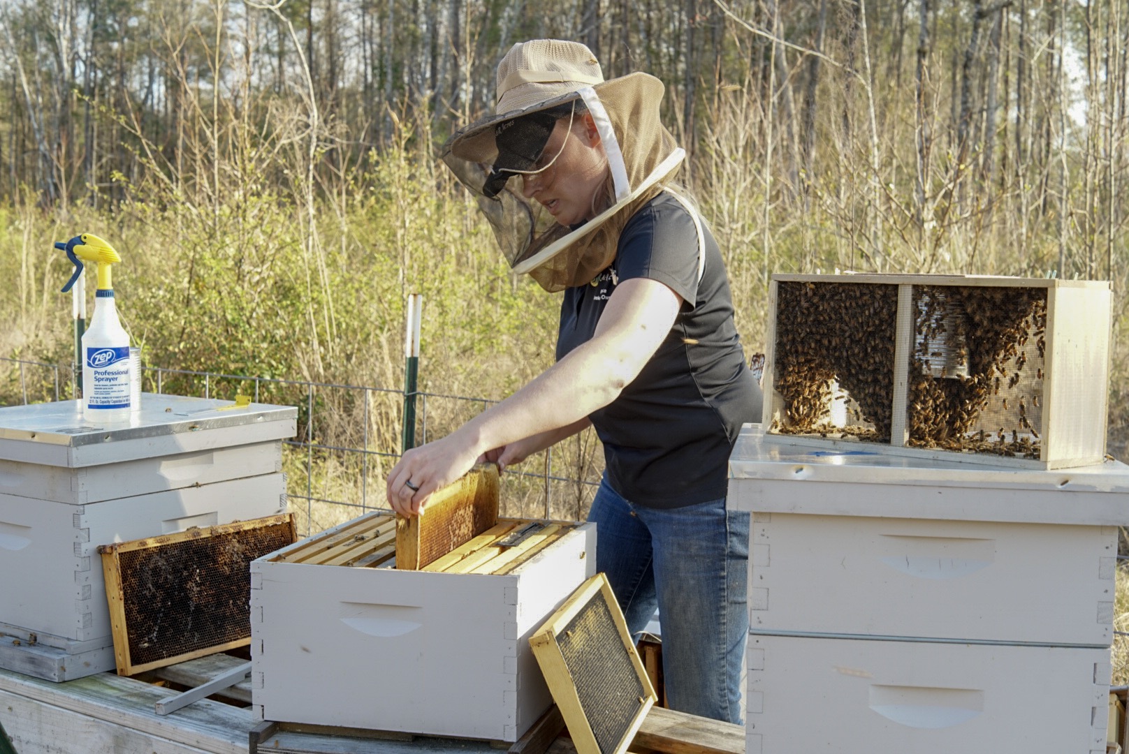 Bee work 2018