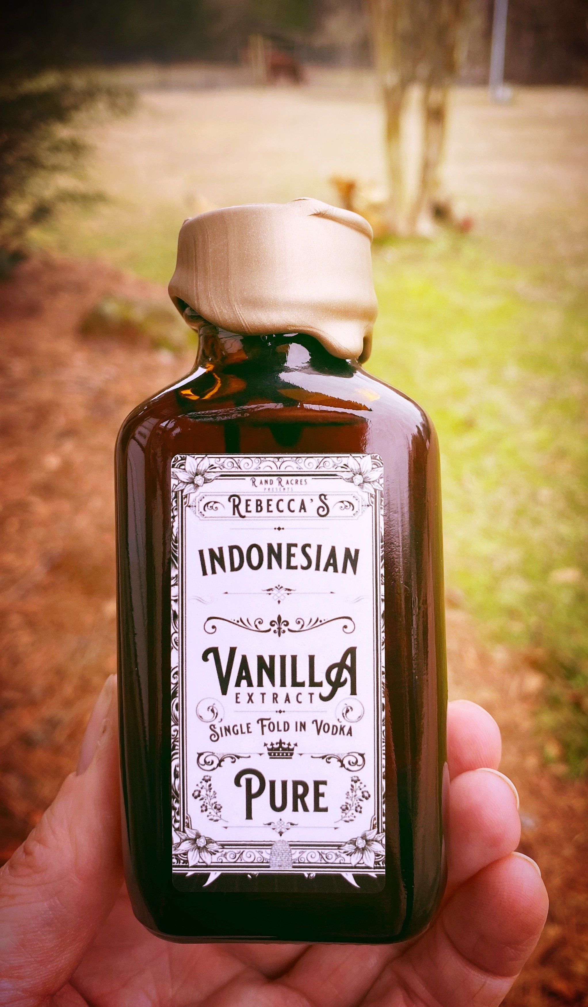 indonesian vanilla.JPG