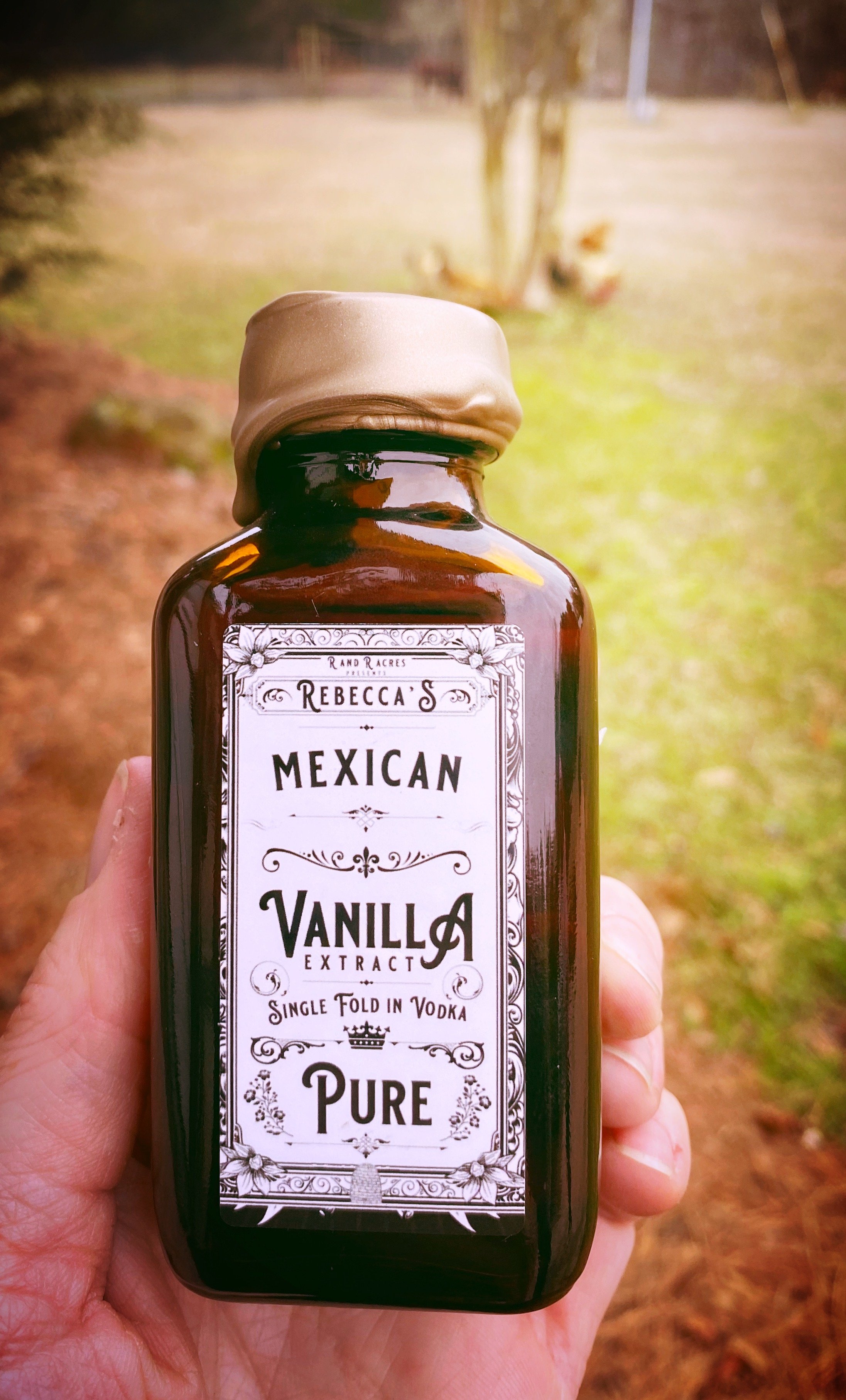 mexican vanilla.JPG