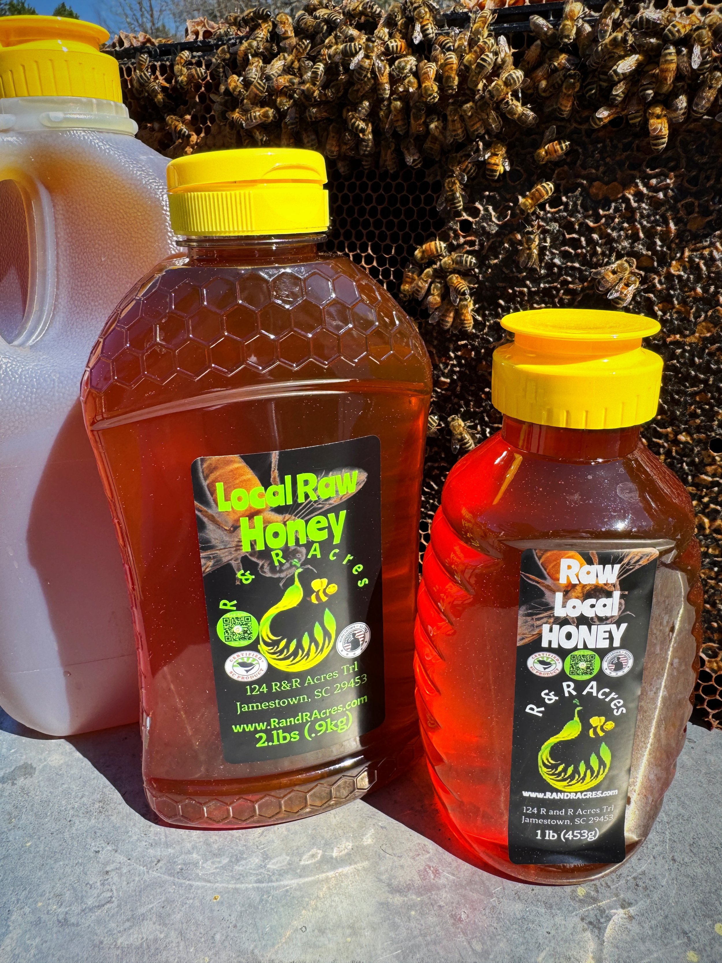 Squeeze Bottles of Honey, 3 Sizes