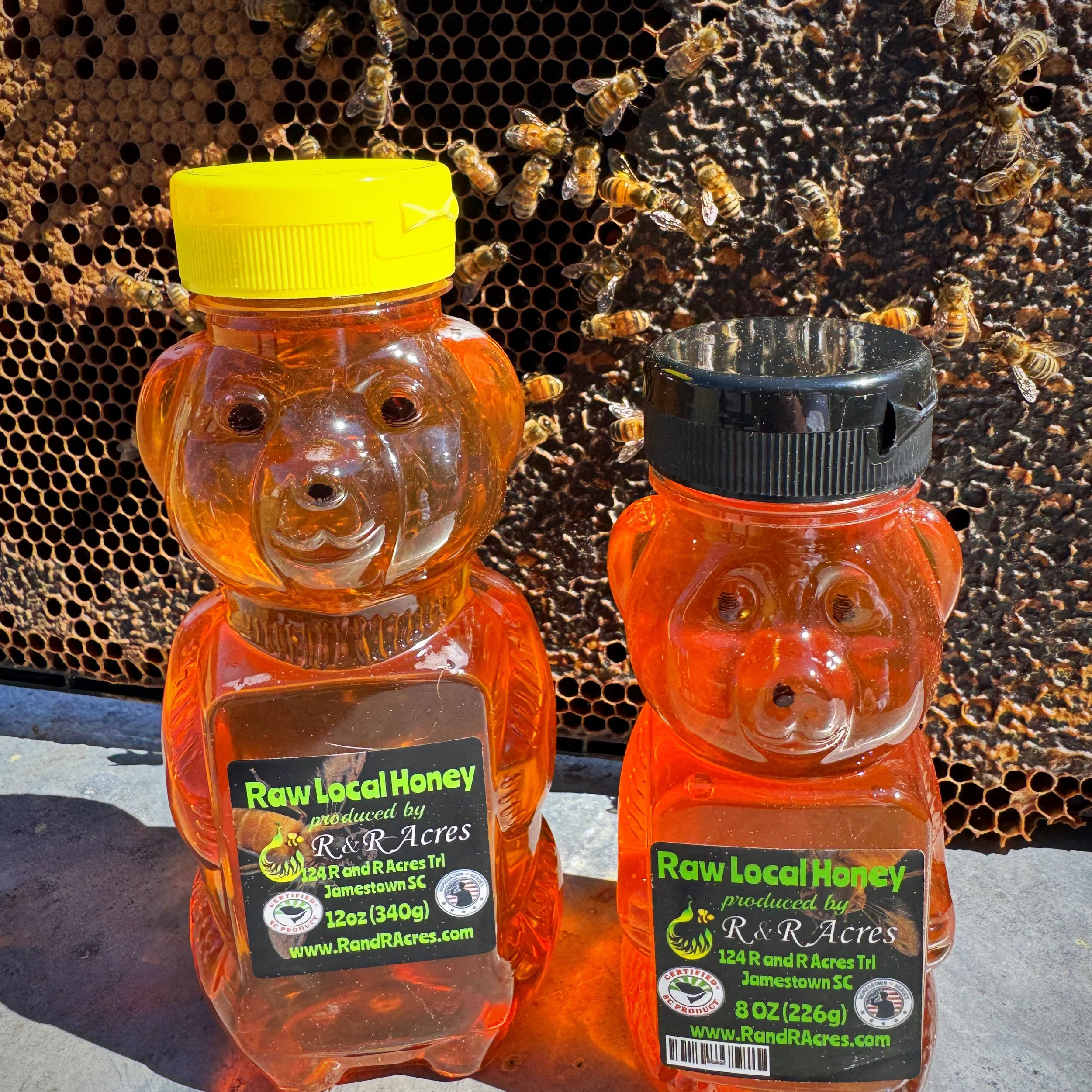 Honey Bear 8 oz or 12 oz
