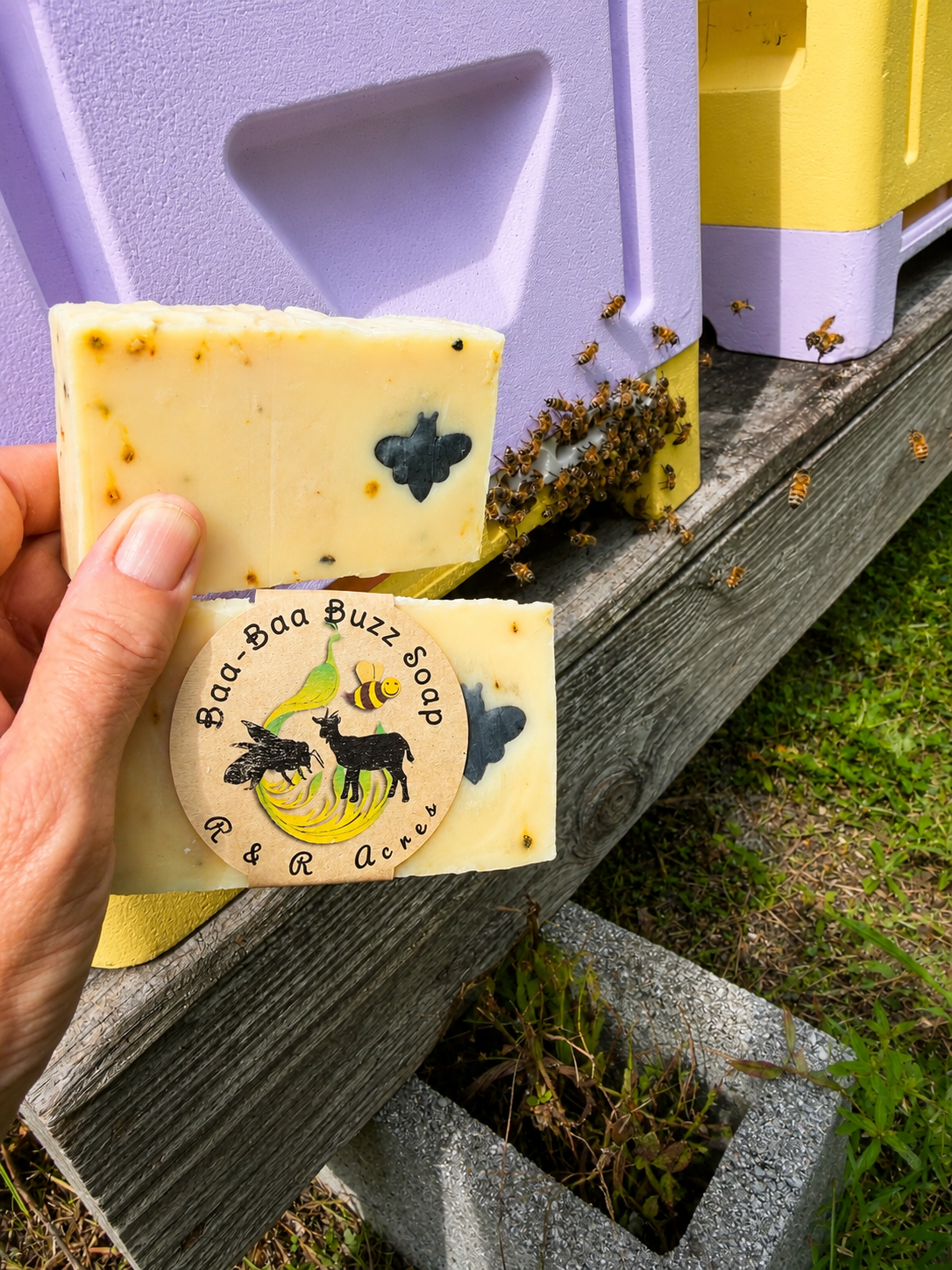 9D47C803-81E9-4333-AE0E-8873A77727B6.png