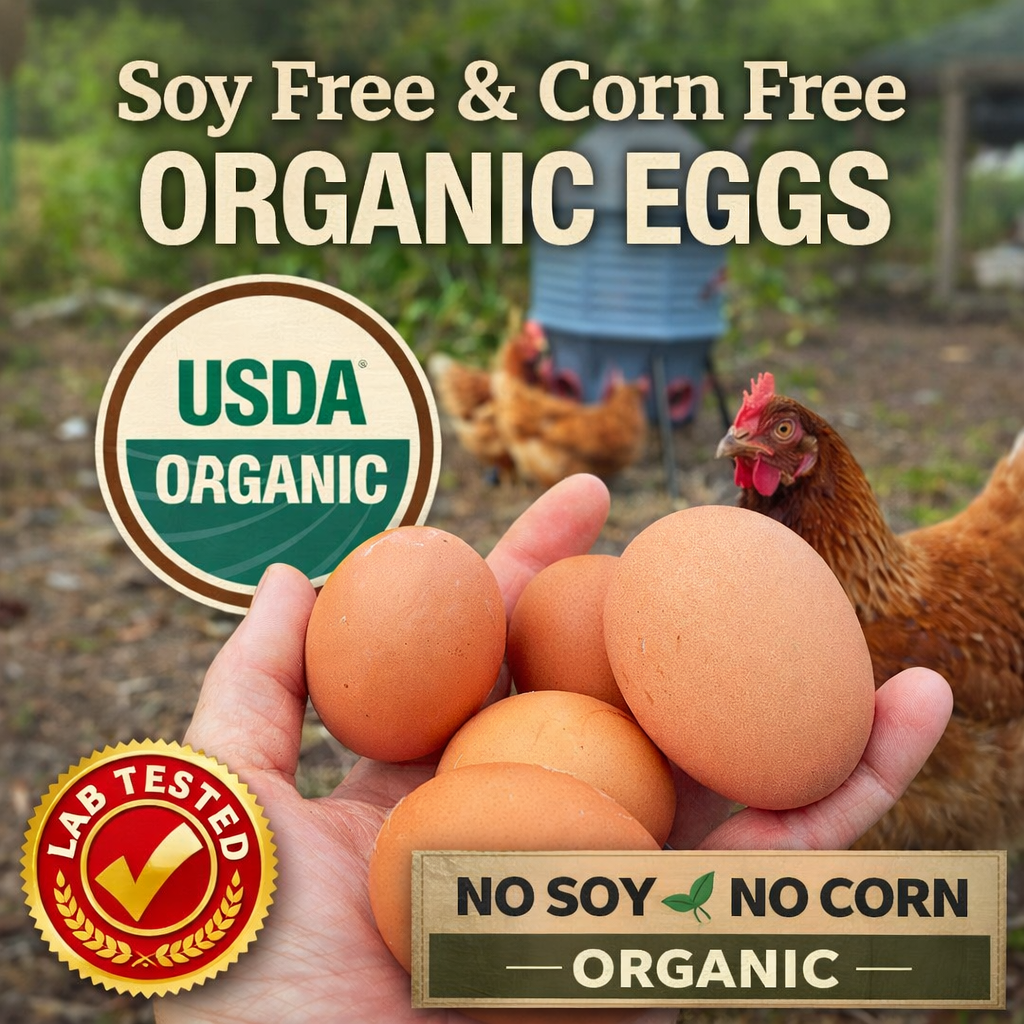 Organic eggs available 