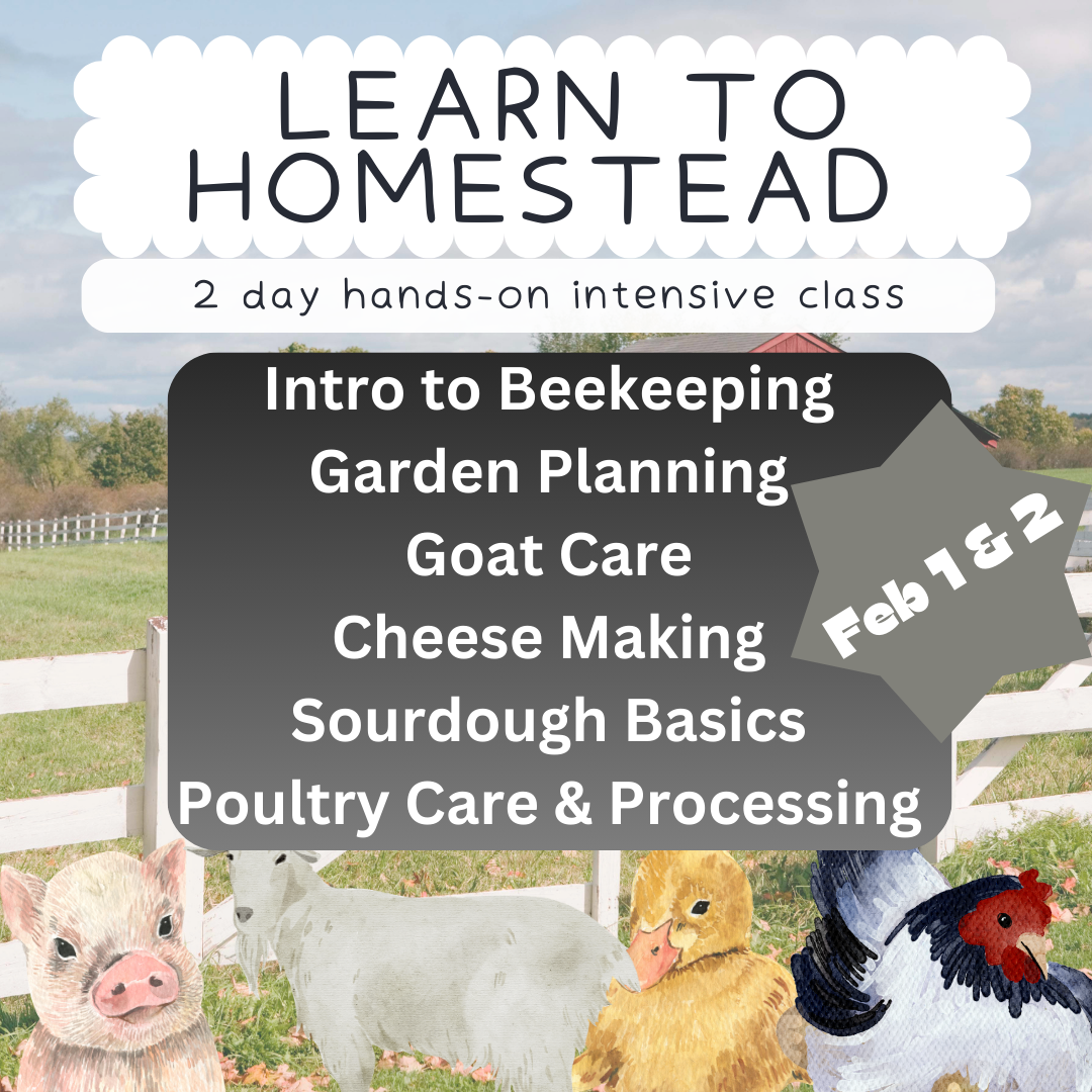 Farm Animal Reading Comprehension Presentation in Neutral Watercolor Style (Instagram Post).png.PNG