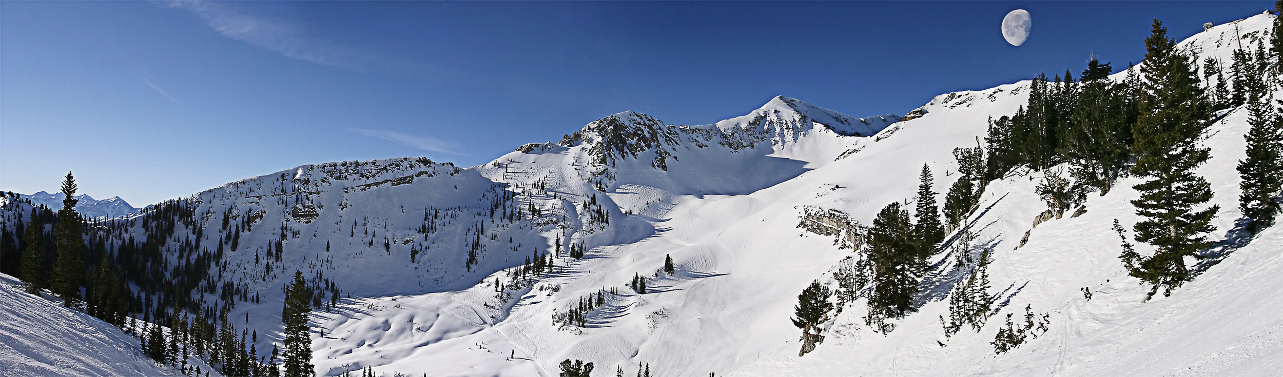 snowbird.jpg