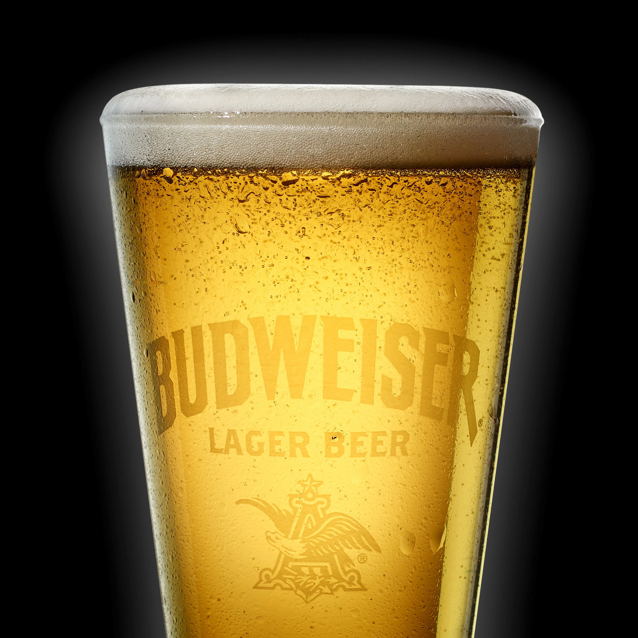 Budweiser.jpg
