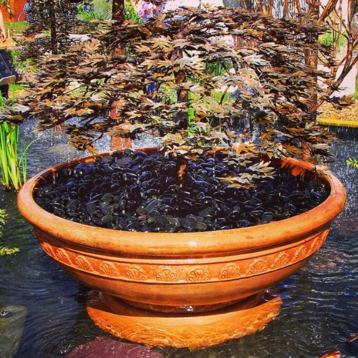 japanese-maple-tree_copper-water-malibu-fountains.png