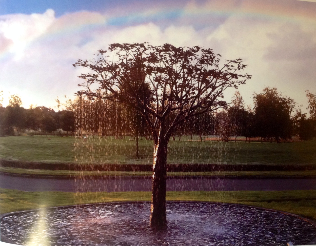 malibu-fountains-tree-of-wisdom-rainbow-garden-copper-water-feature.JPG