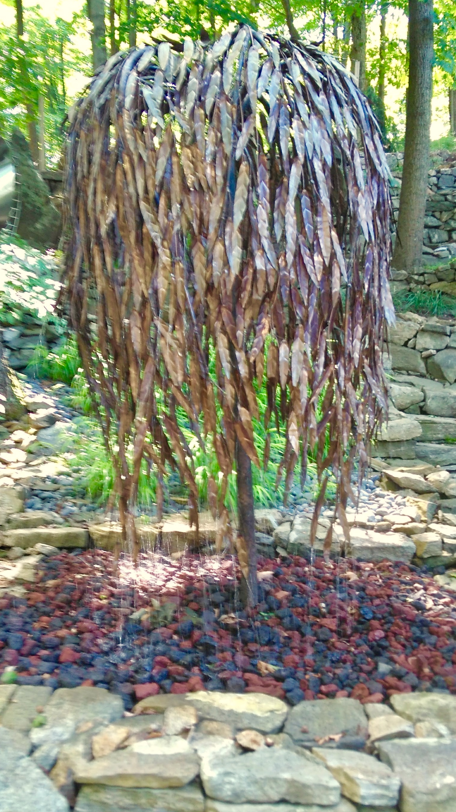 IMG_20190829_150644813.jpg