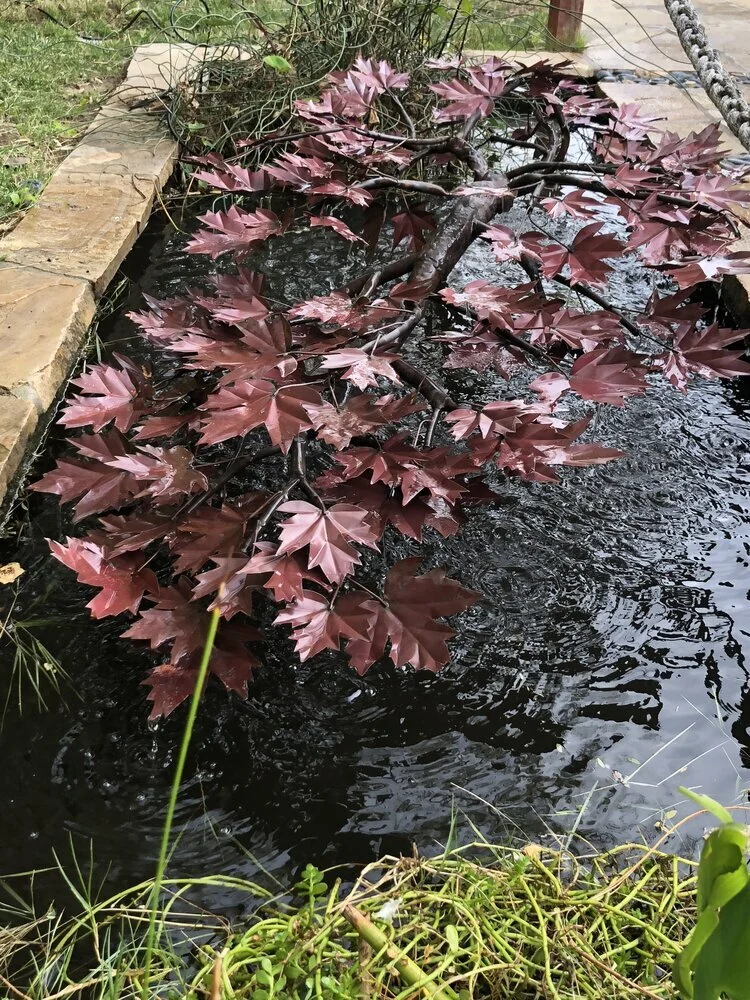 Commercial Garden