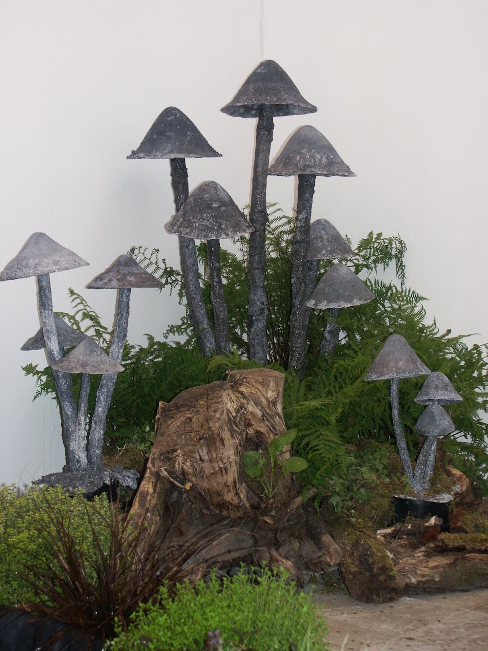 magic mushrooms.jpeg