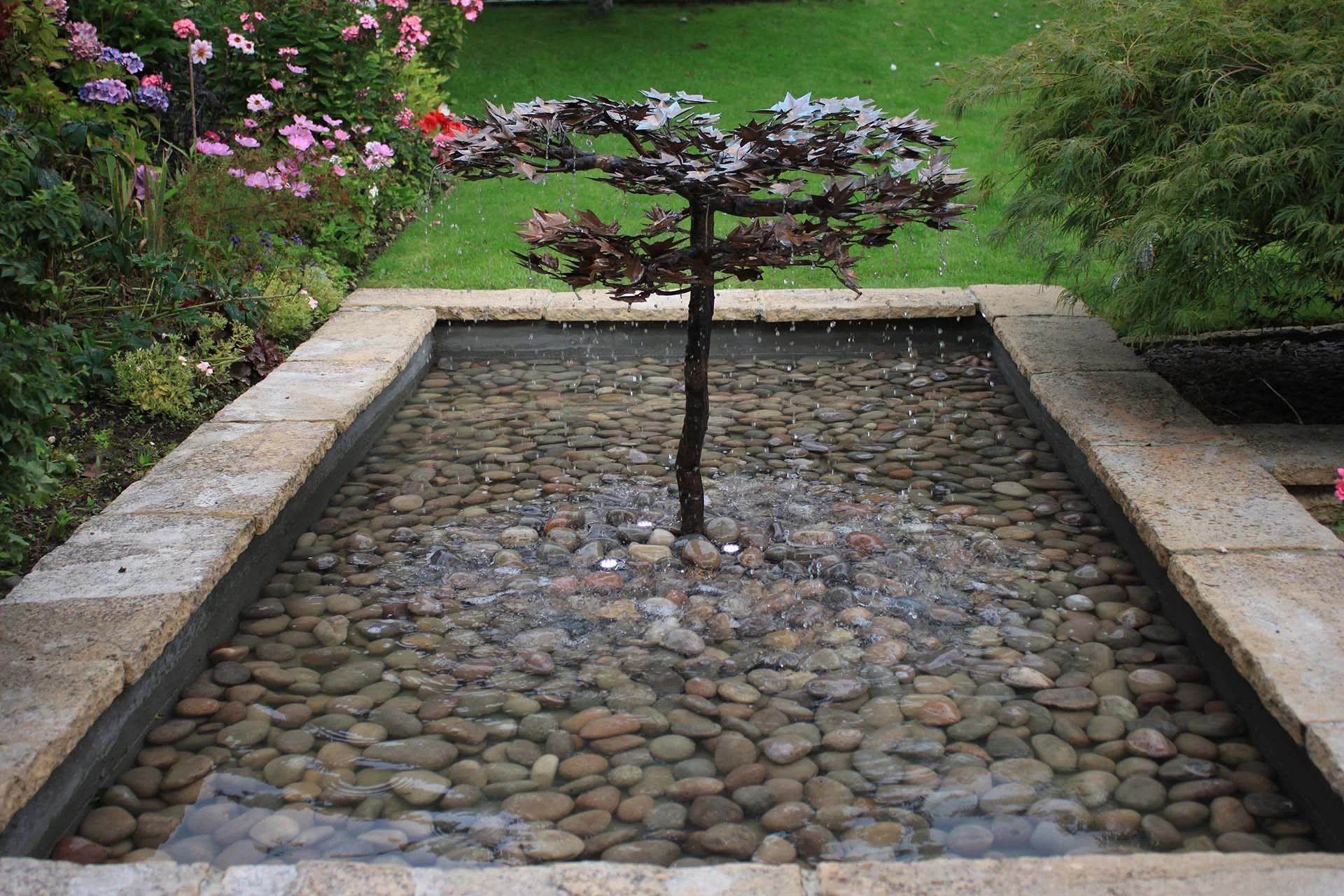 japanese-maple-in-pond-1920x1280 (1).jpg