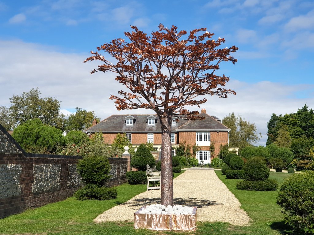 Tree of Wisdom.jpg