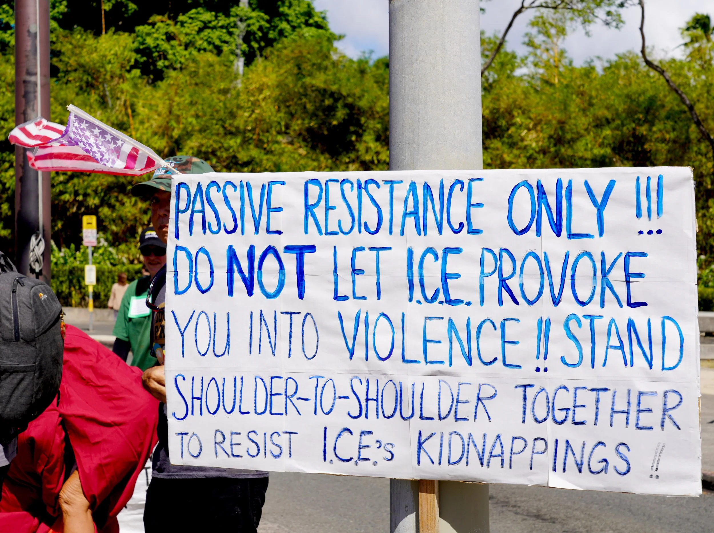 DSC07009 Non-Violence.jpg